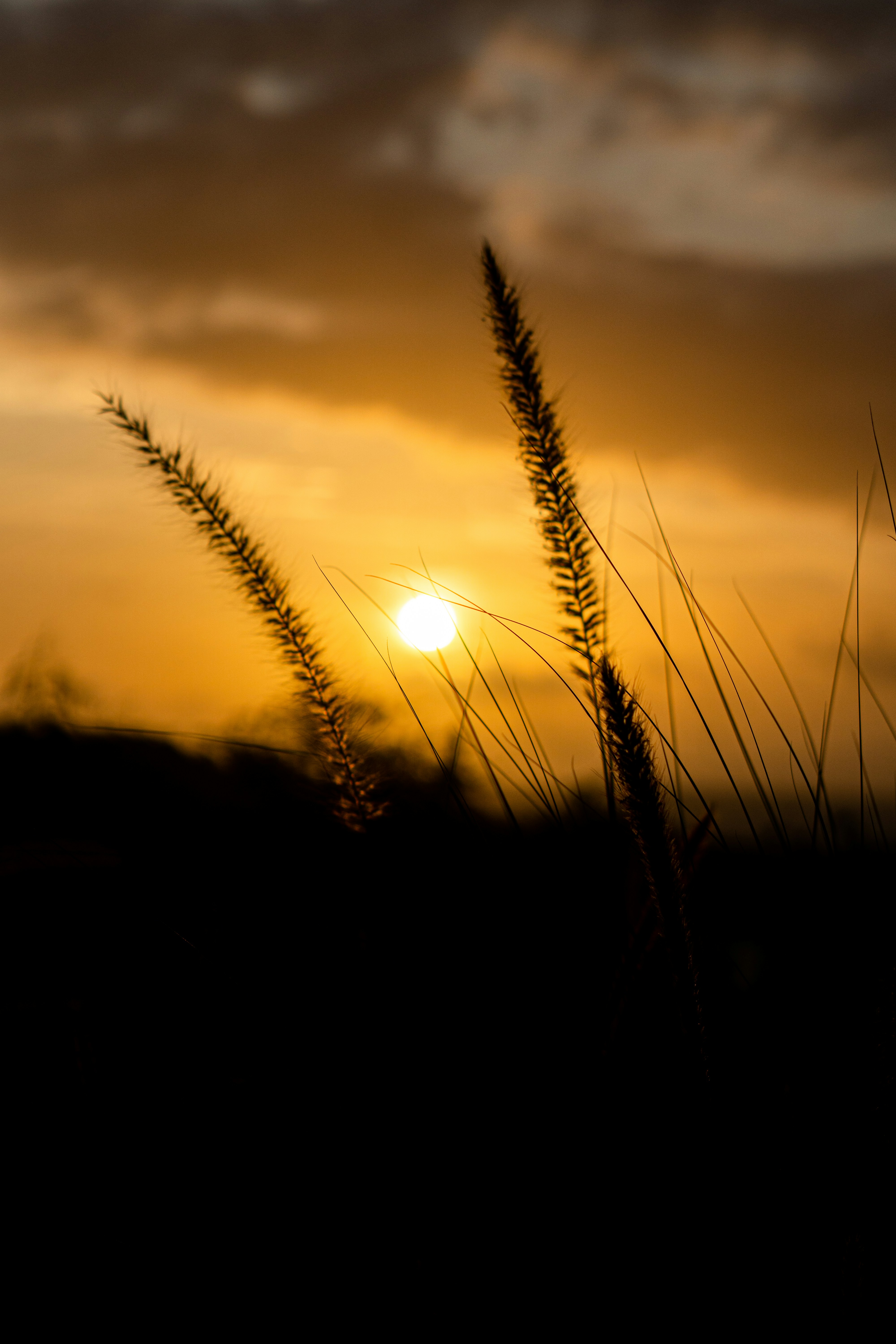 Photo by wahde_stock