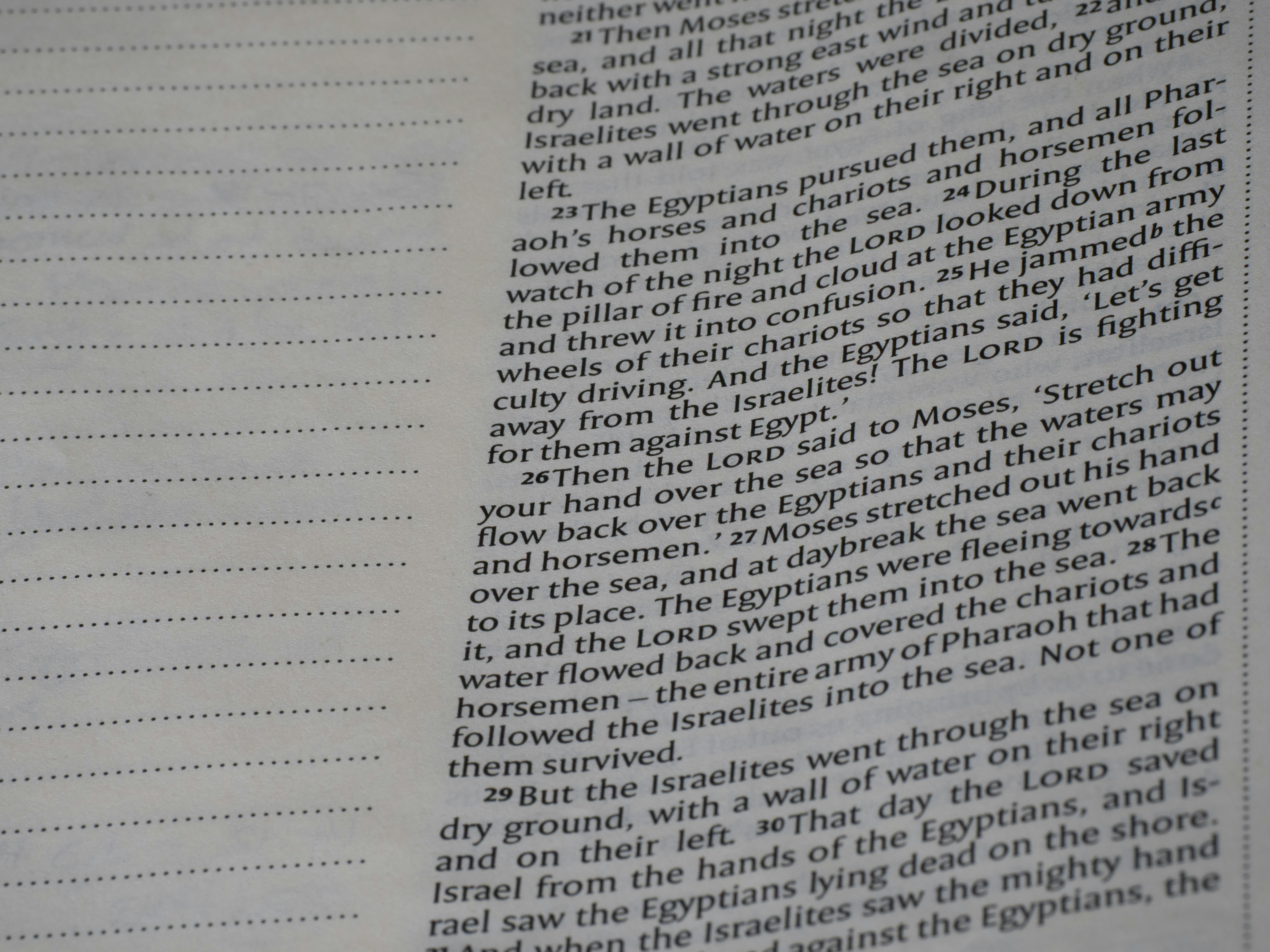 Close-up of text on a page with lines