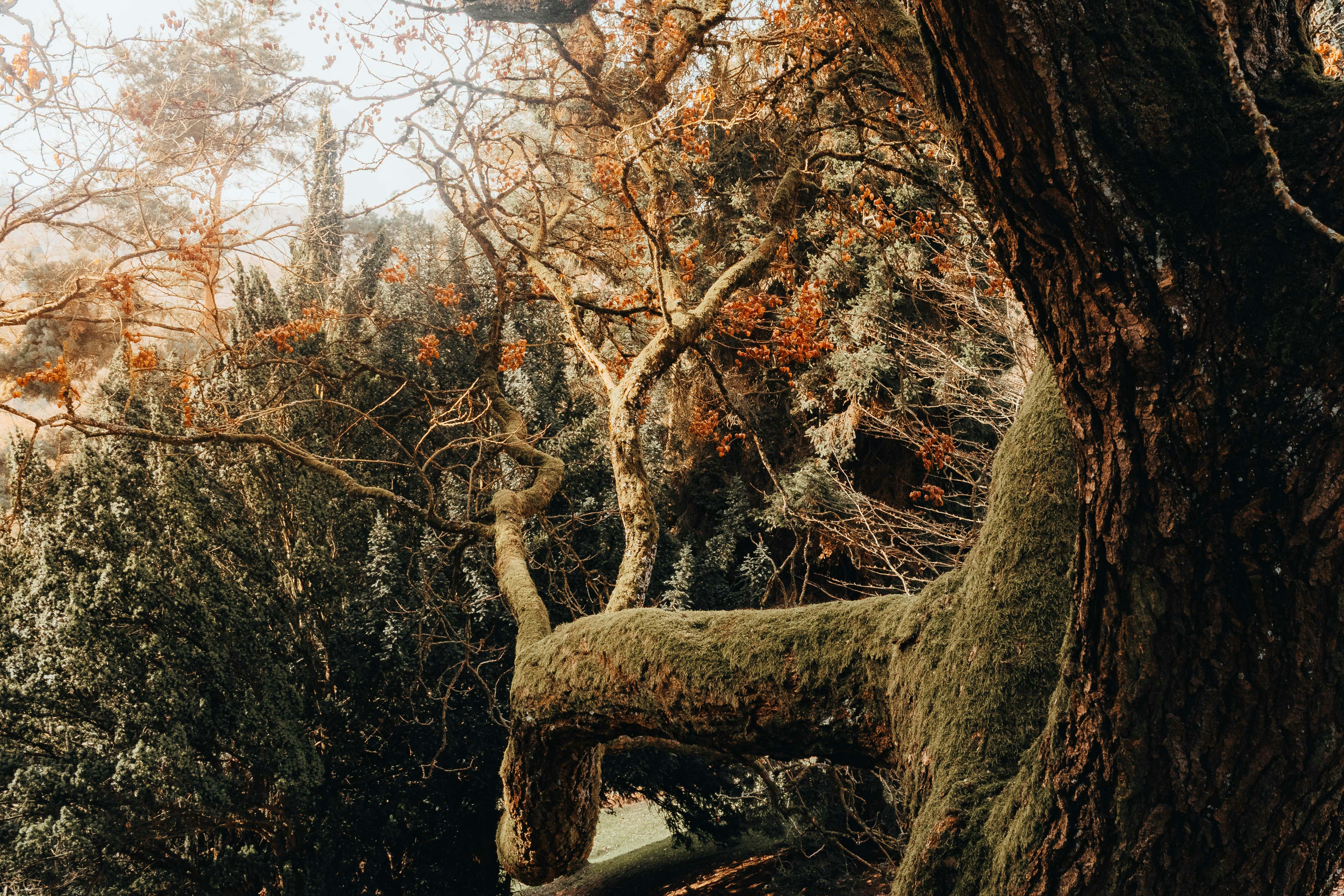 Photo by arlindphotography