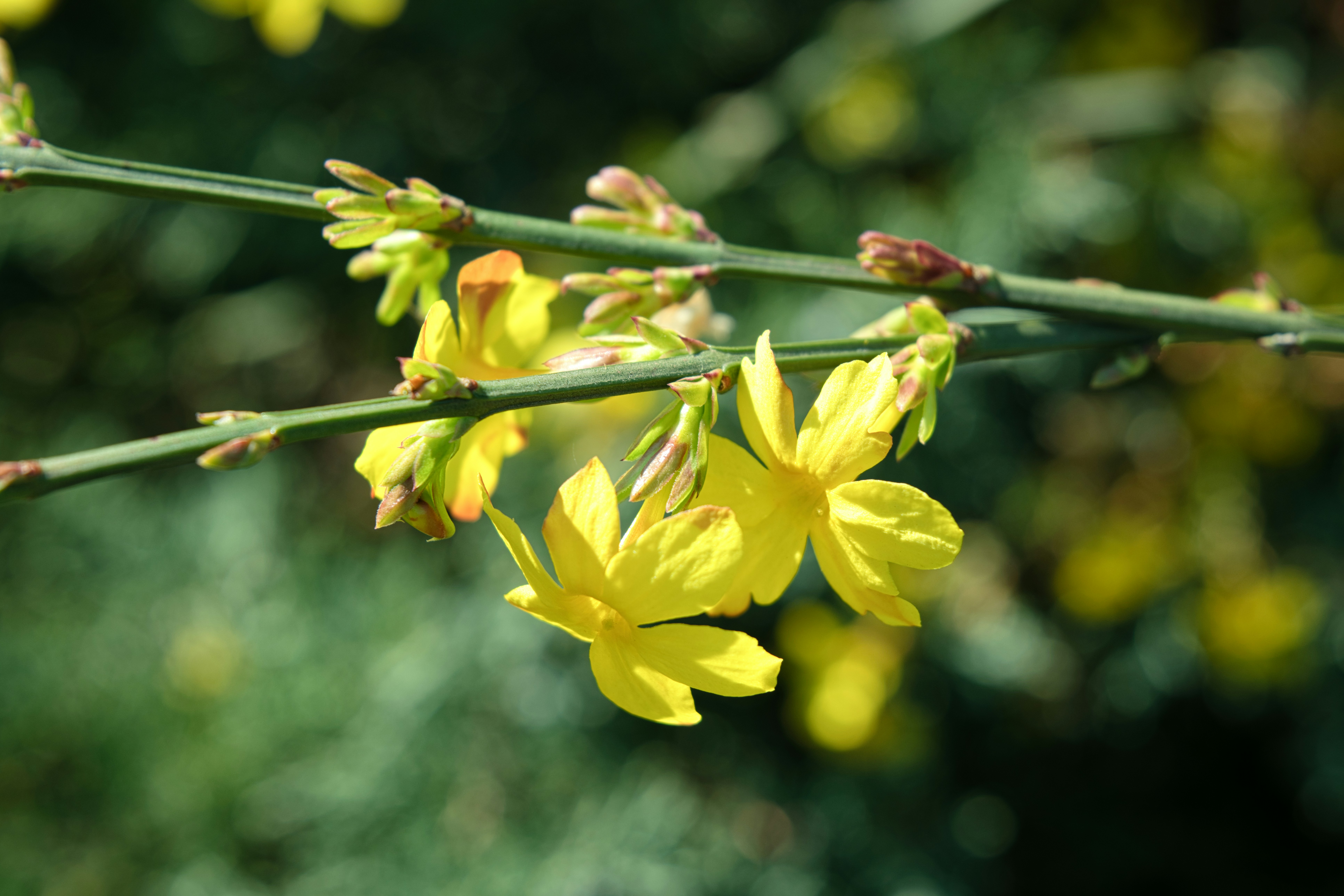 Photo by associatedtype