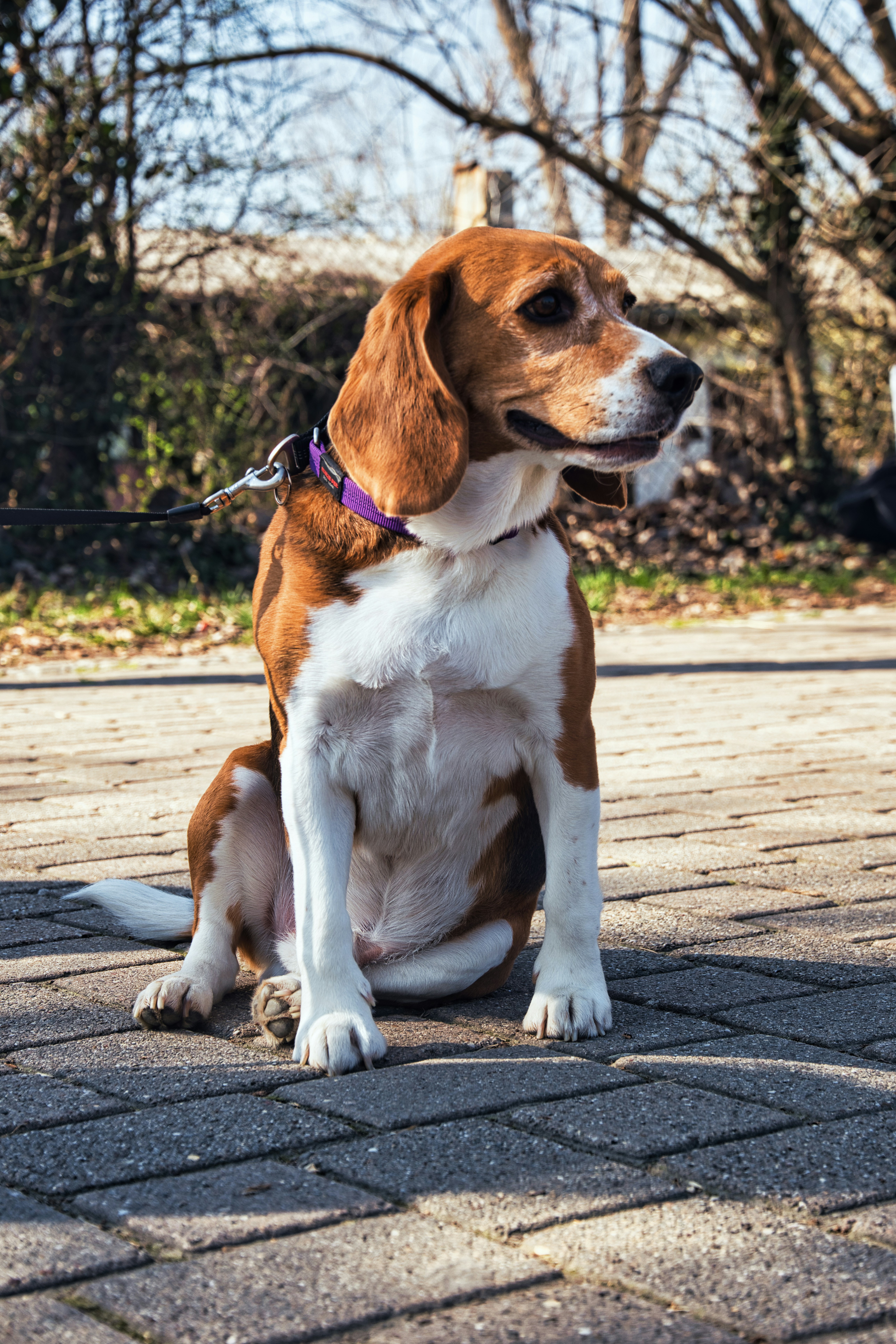 Photo by associatedtype