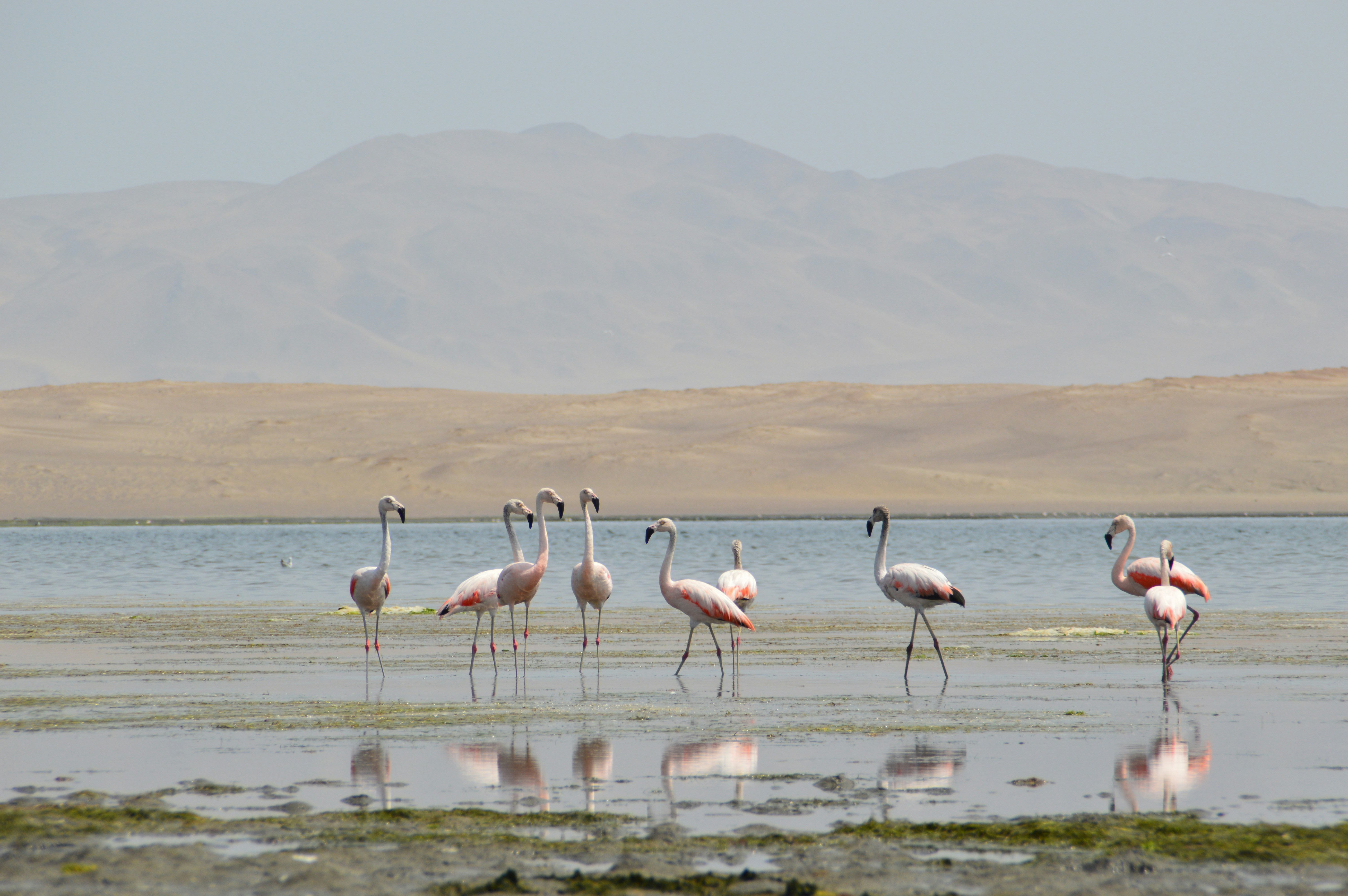 Photo by shawn_appel