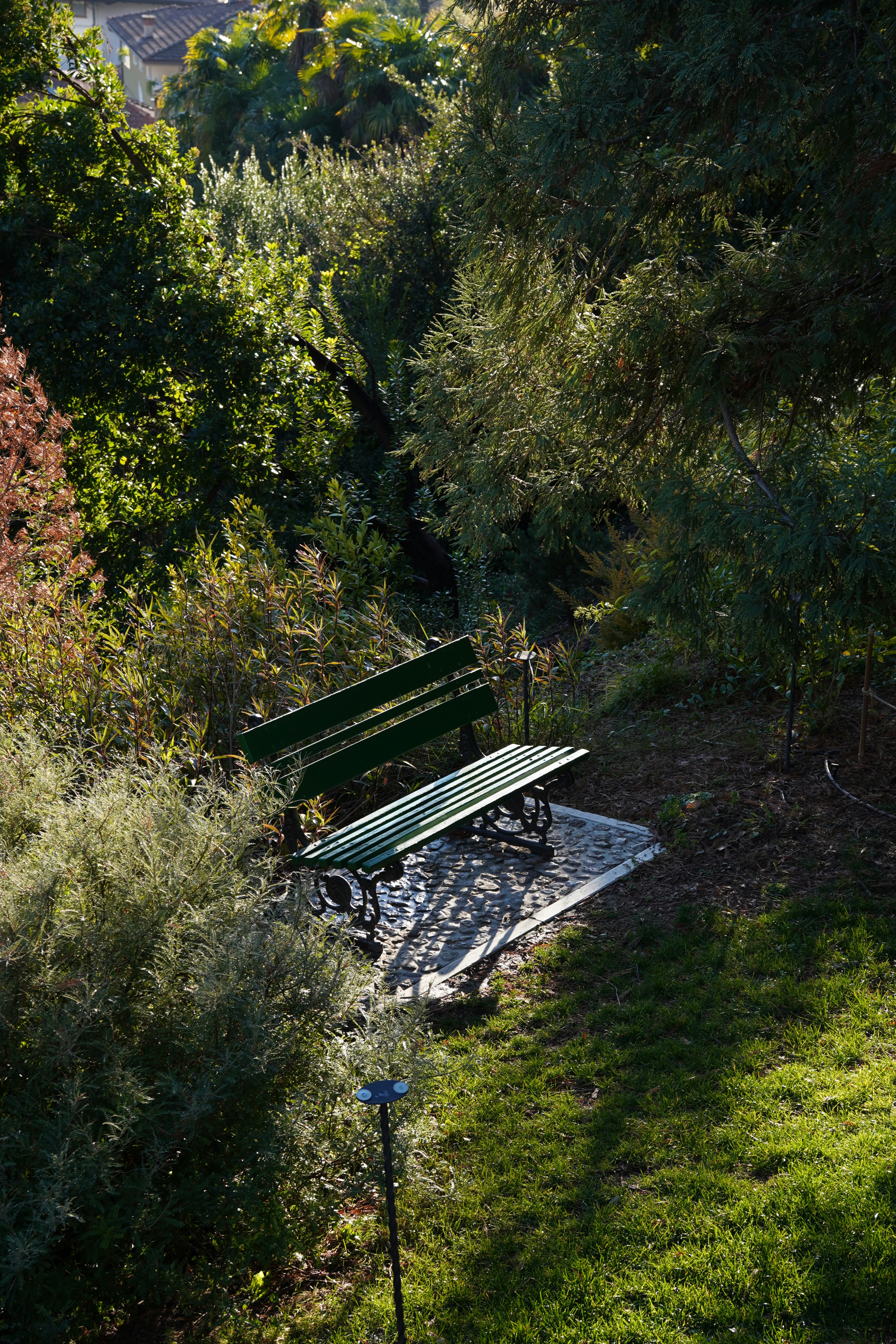 Two empty park benches in a sun-dappled garden.