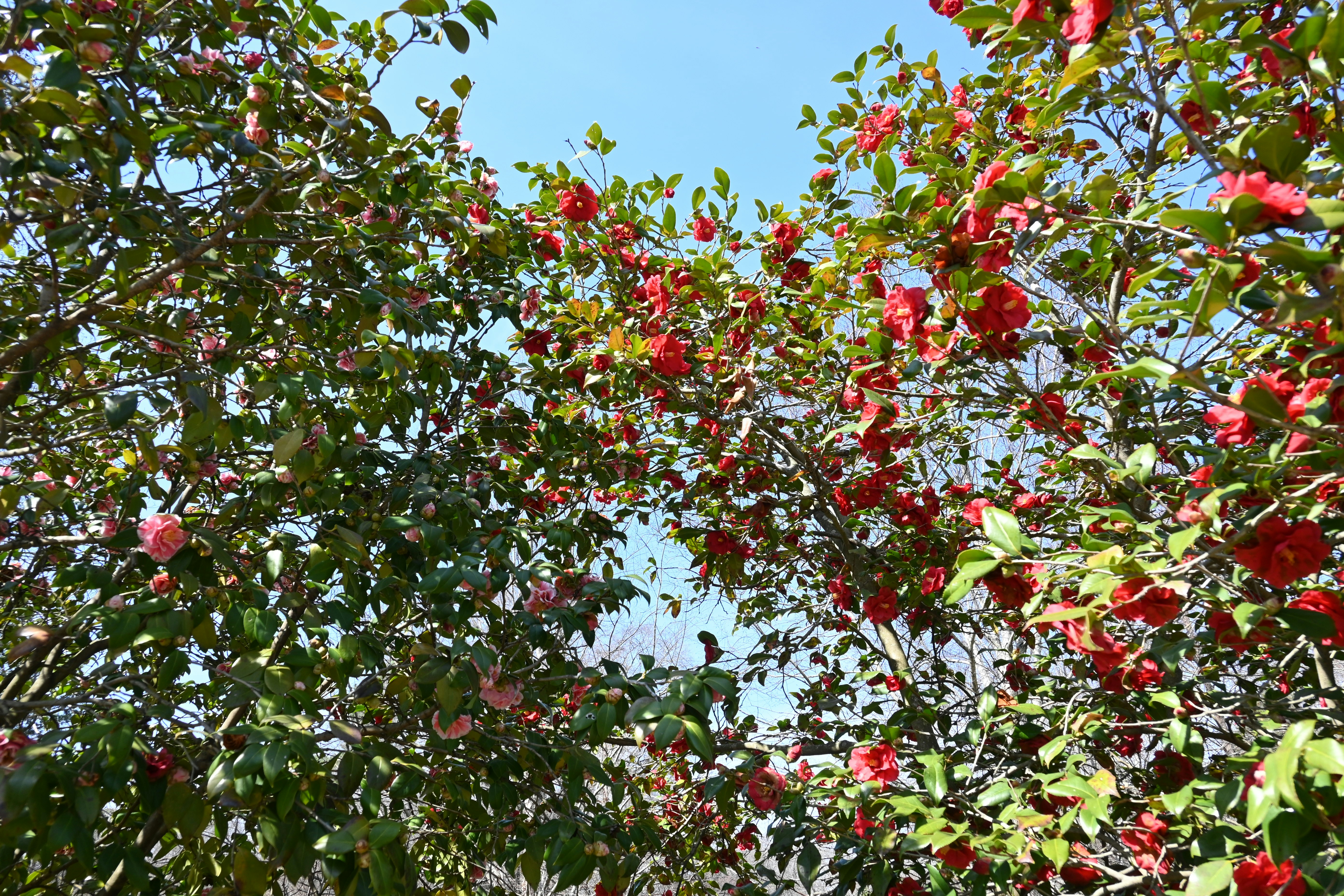 Photo by karolinabobek