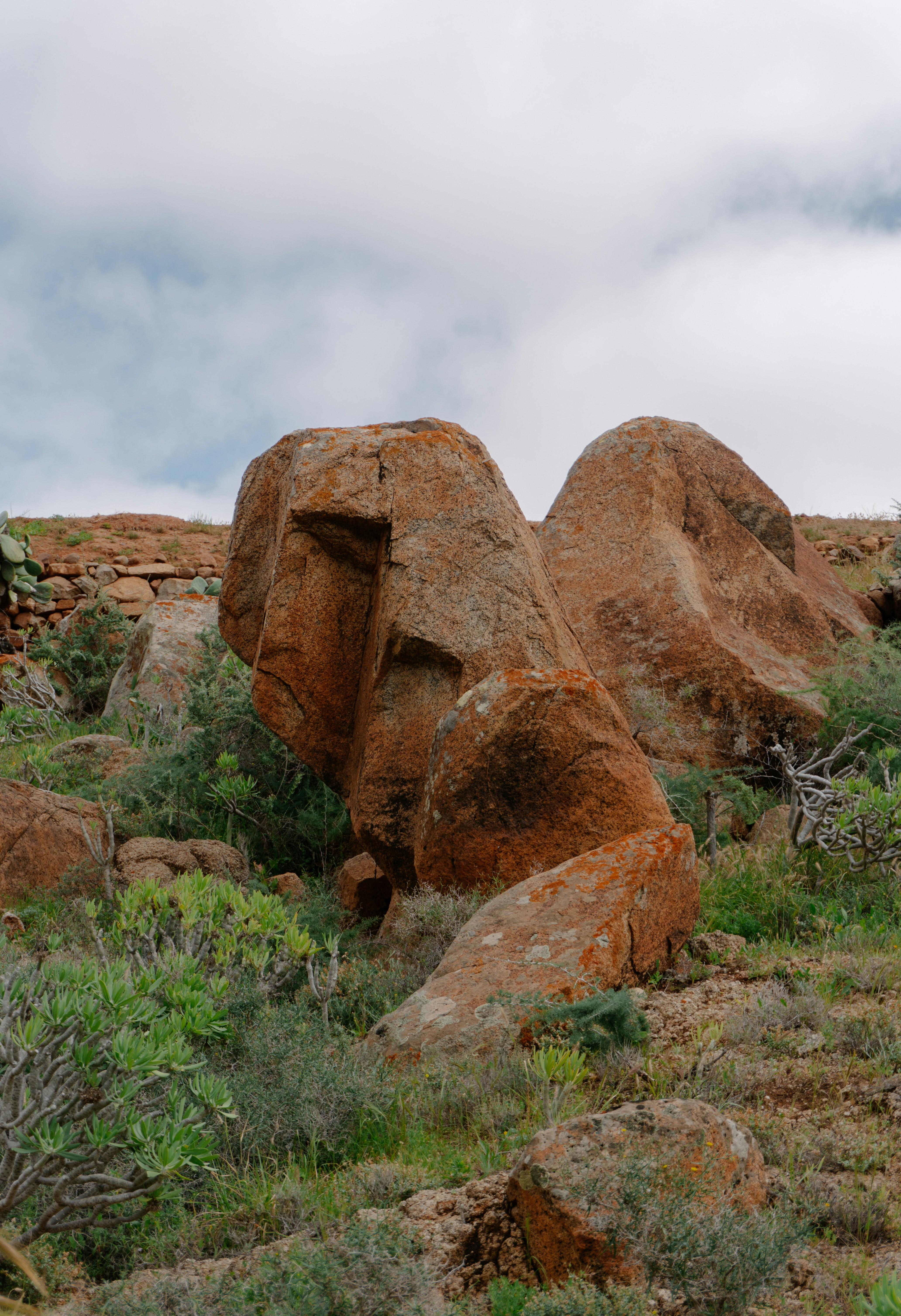 Photo by raymondpetrik