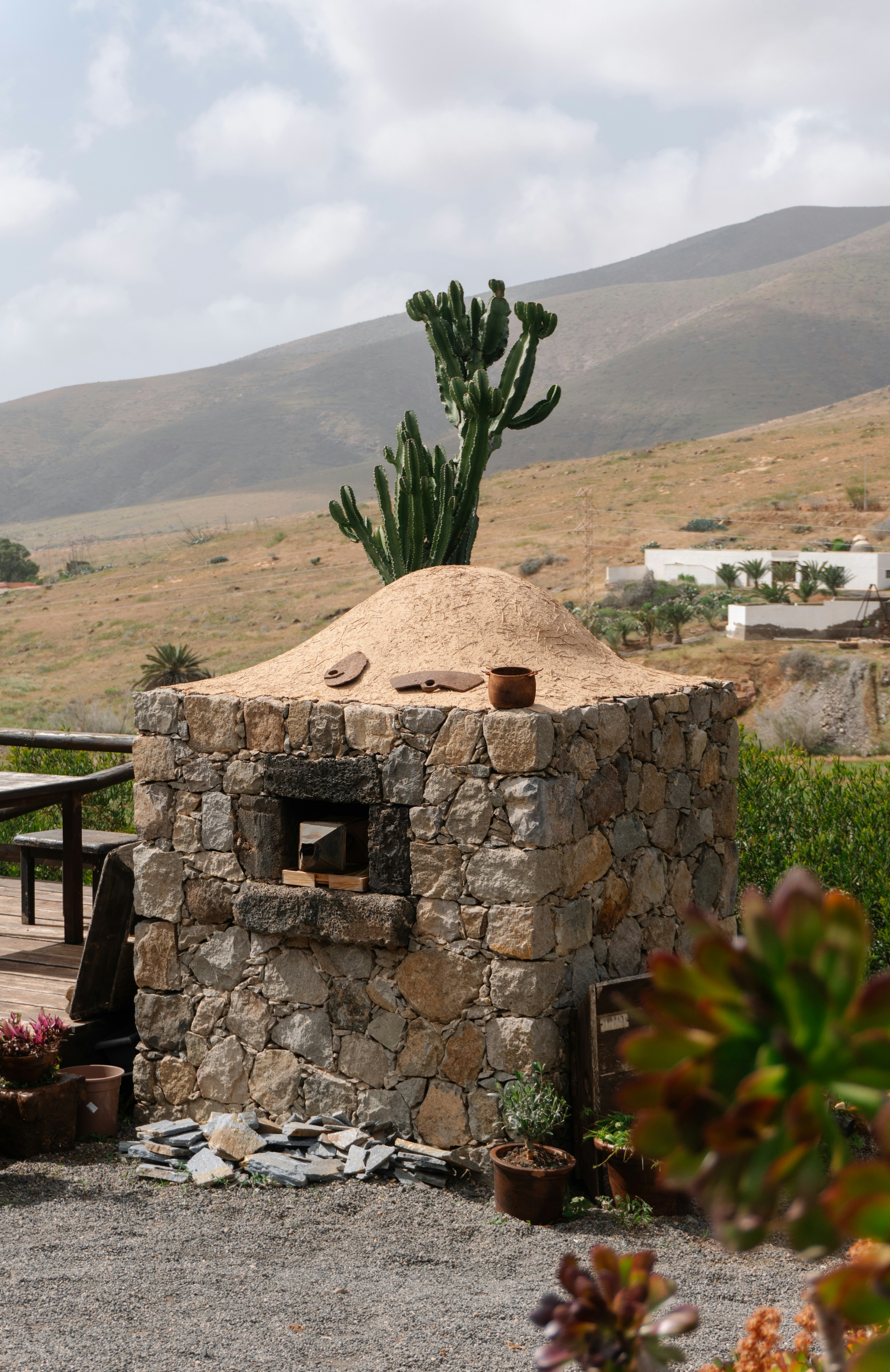 Stone oven with cactus on top in arid landscape