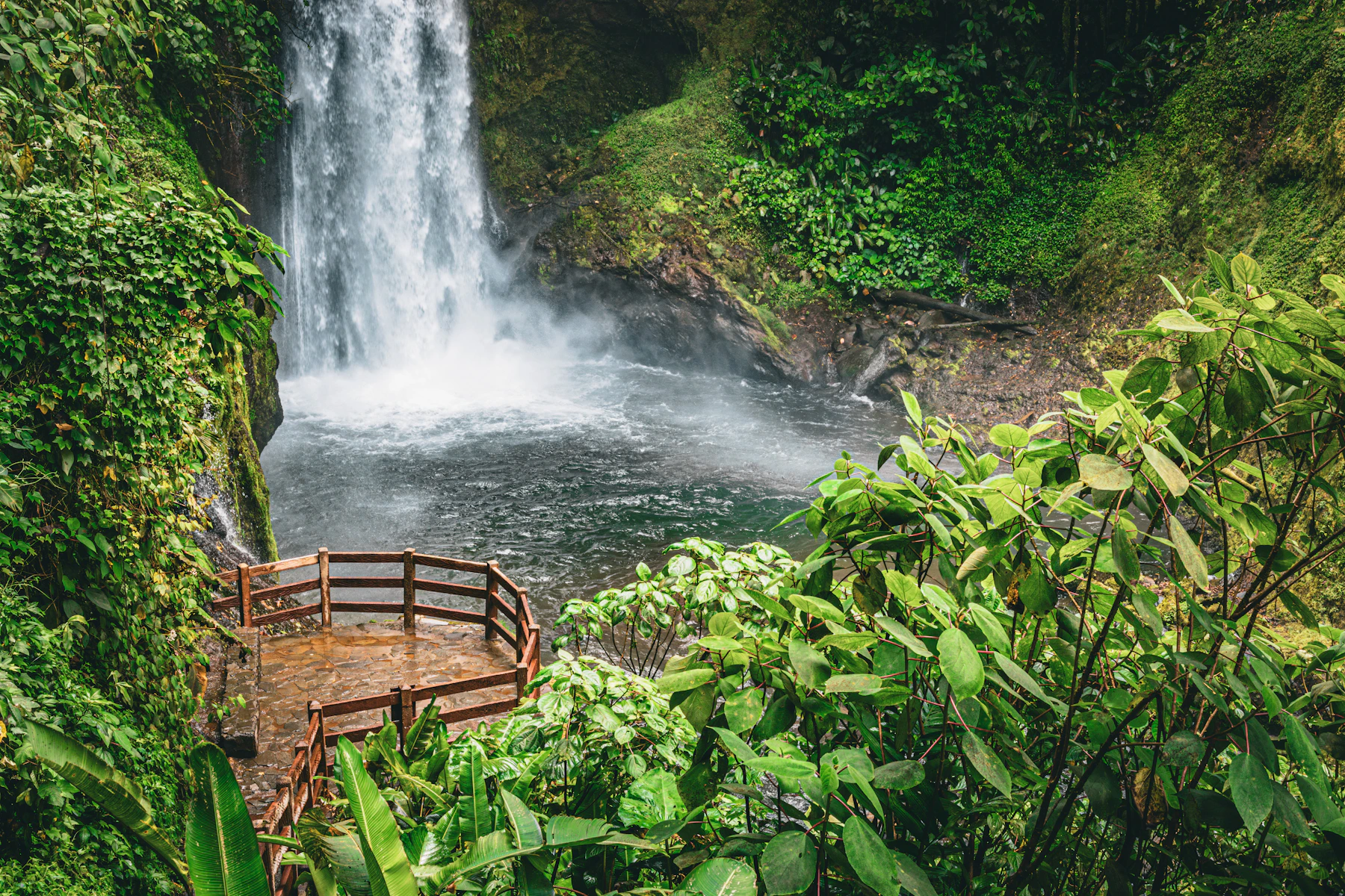 Waterfall surrounded by lush Costa Rican rainforest