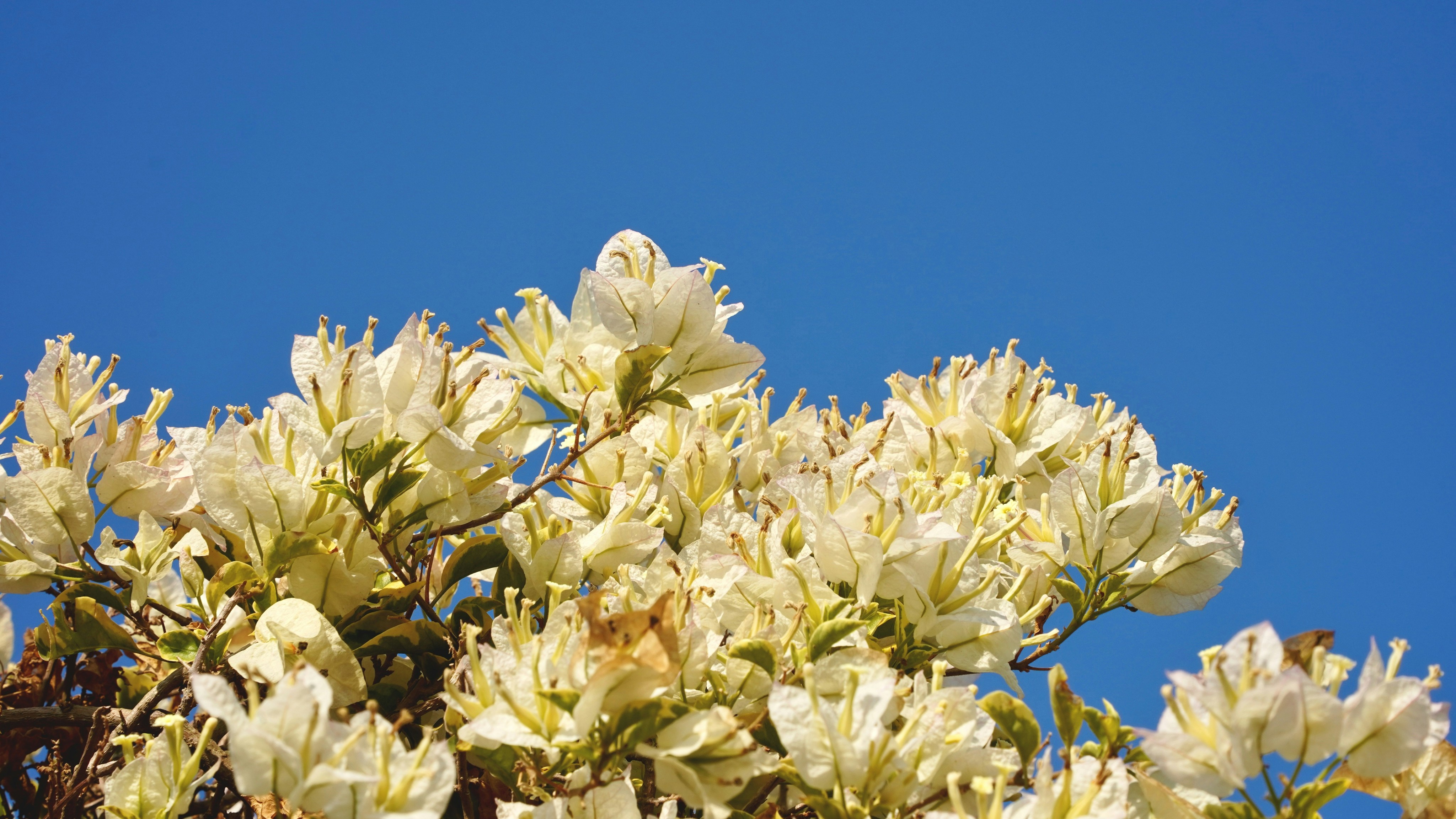 Photo by 1036693379a