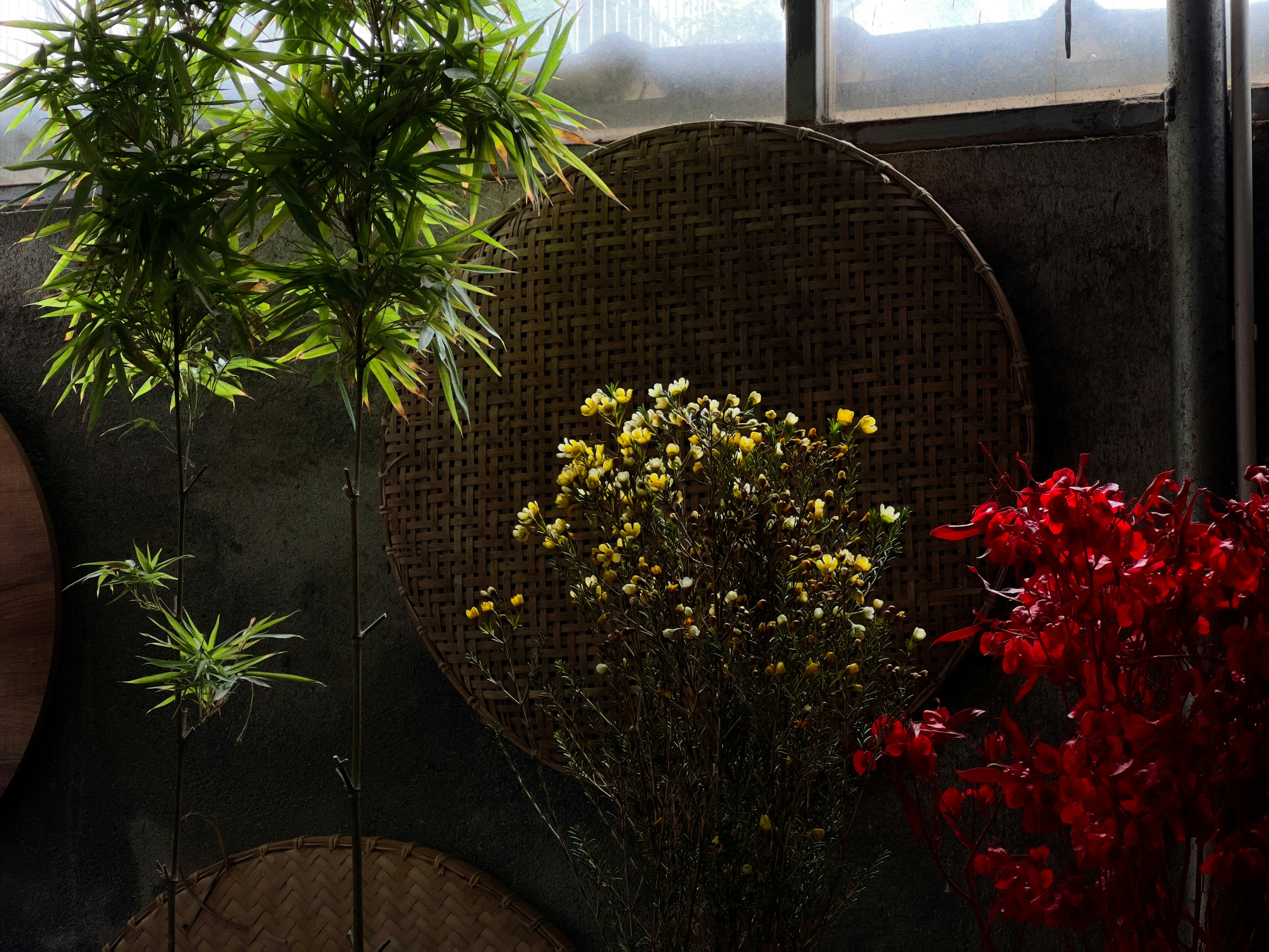Fresh Fresh Flowers
