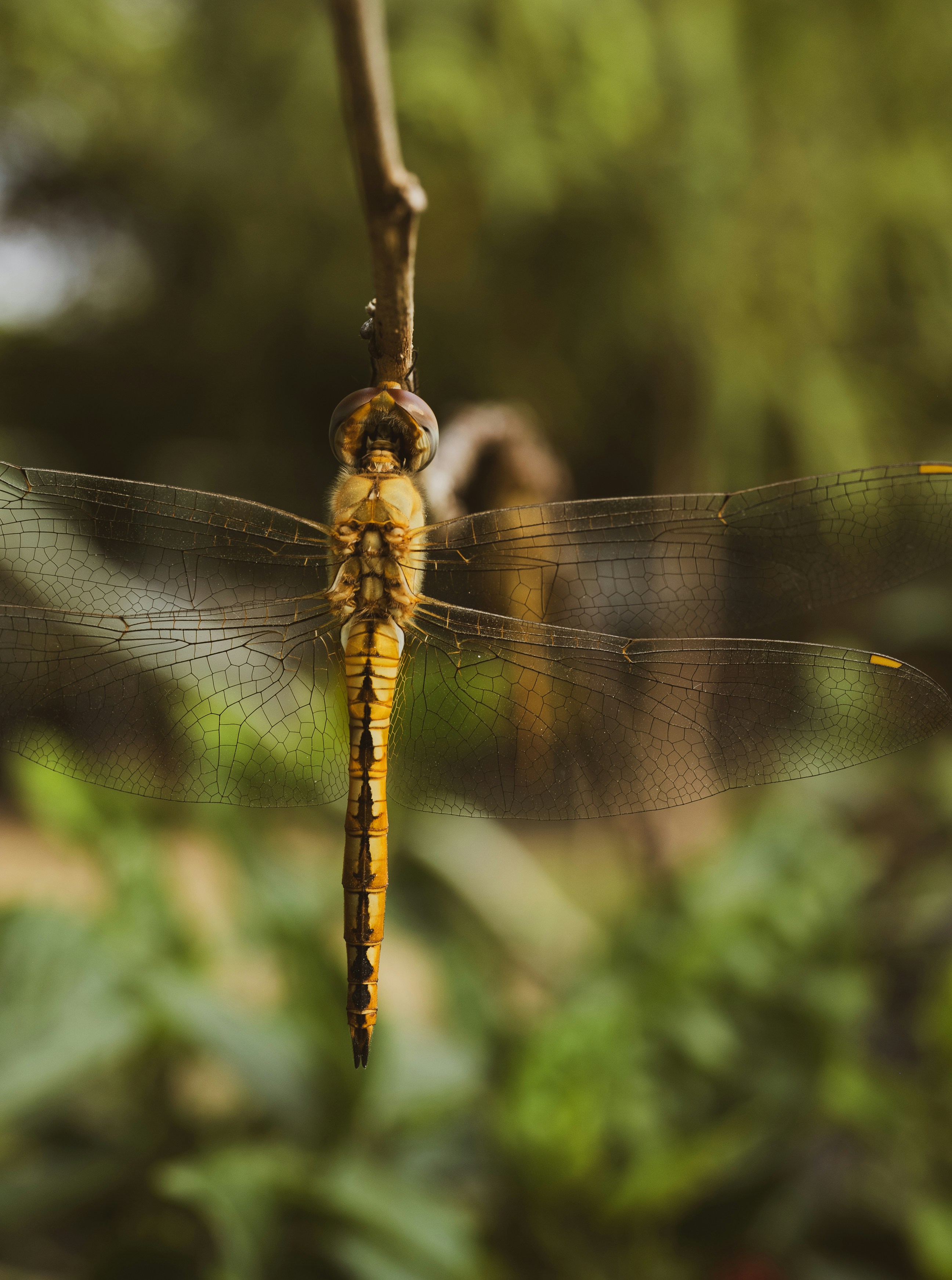 Photo by asphotographypics