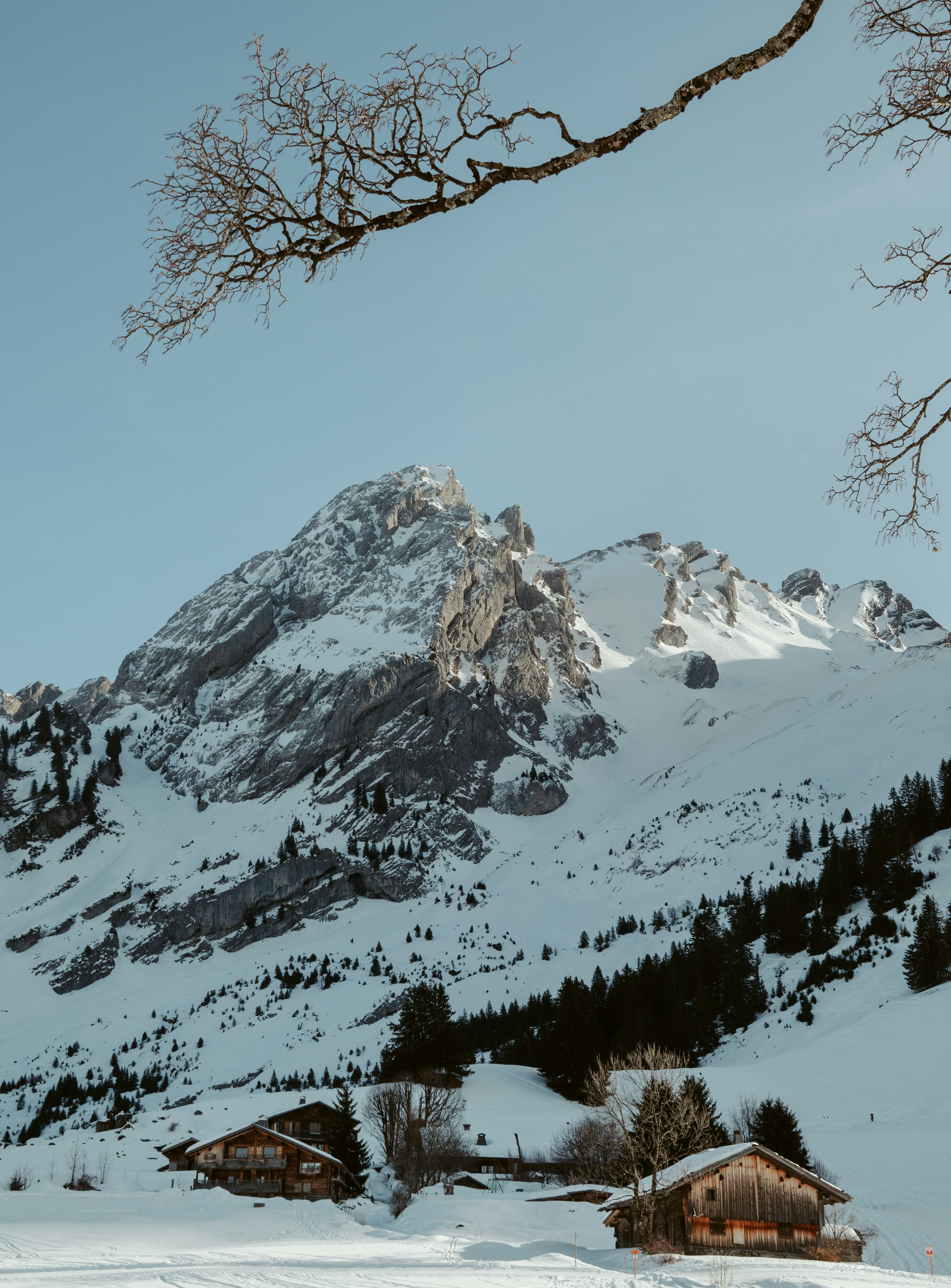 Photo by nickname_raw