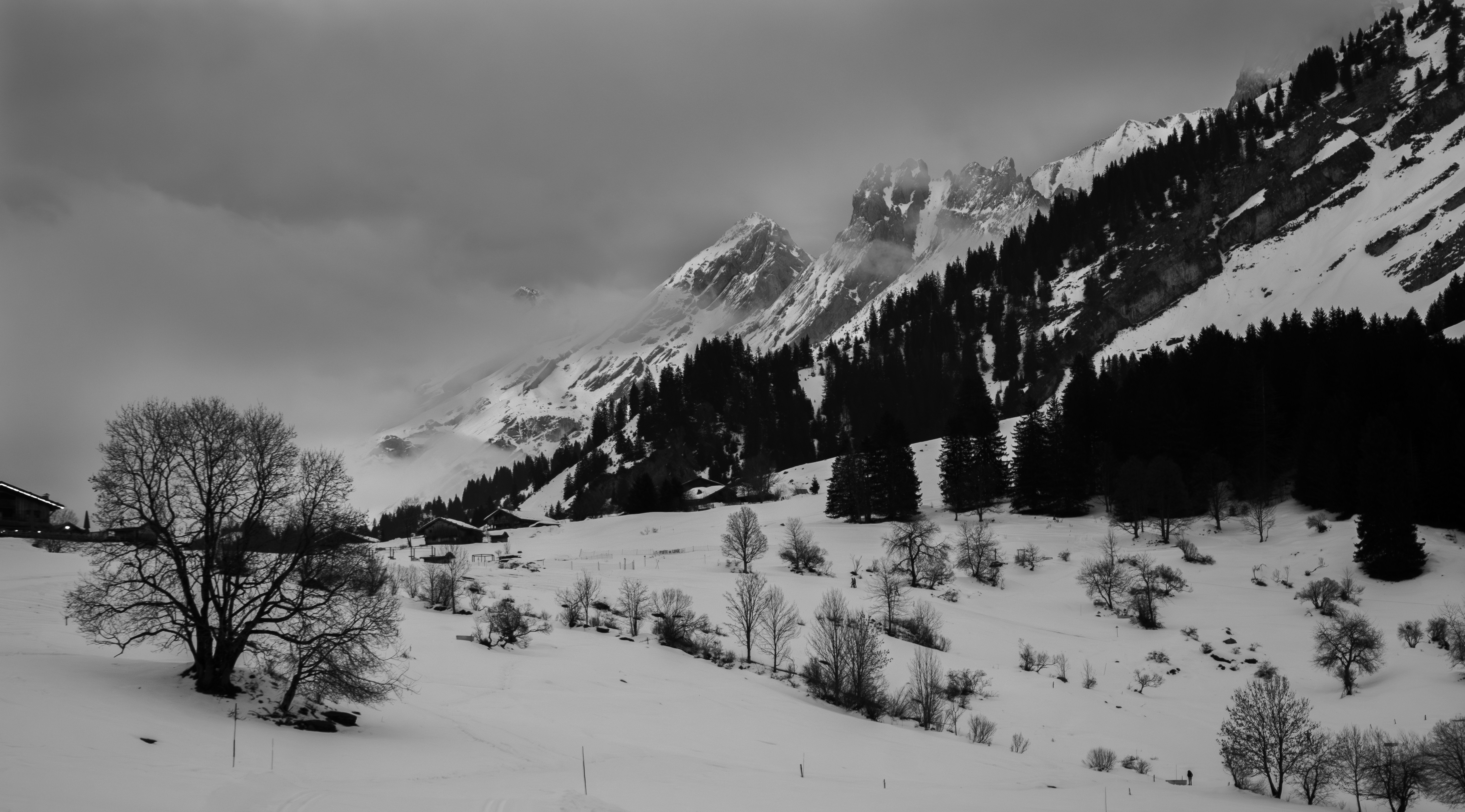 Photo by nickname_raw