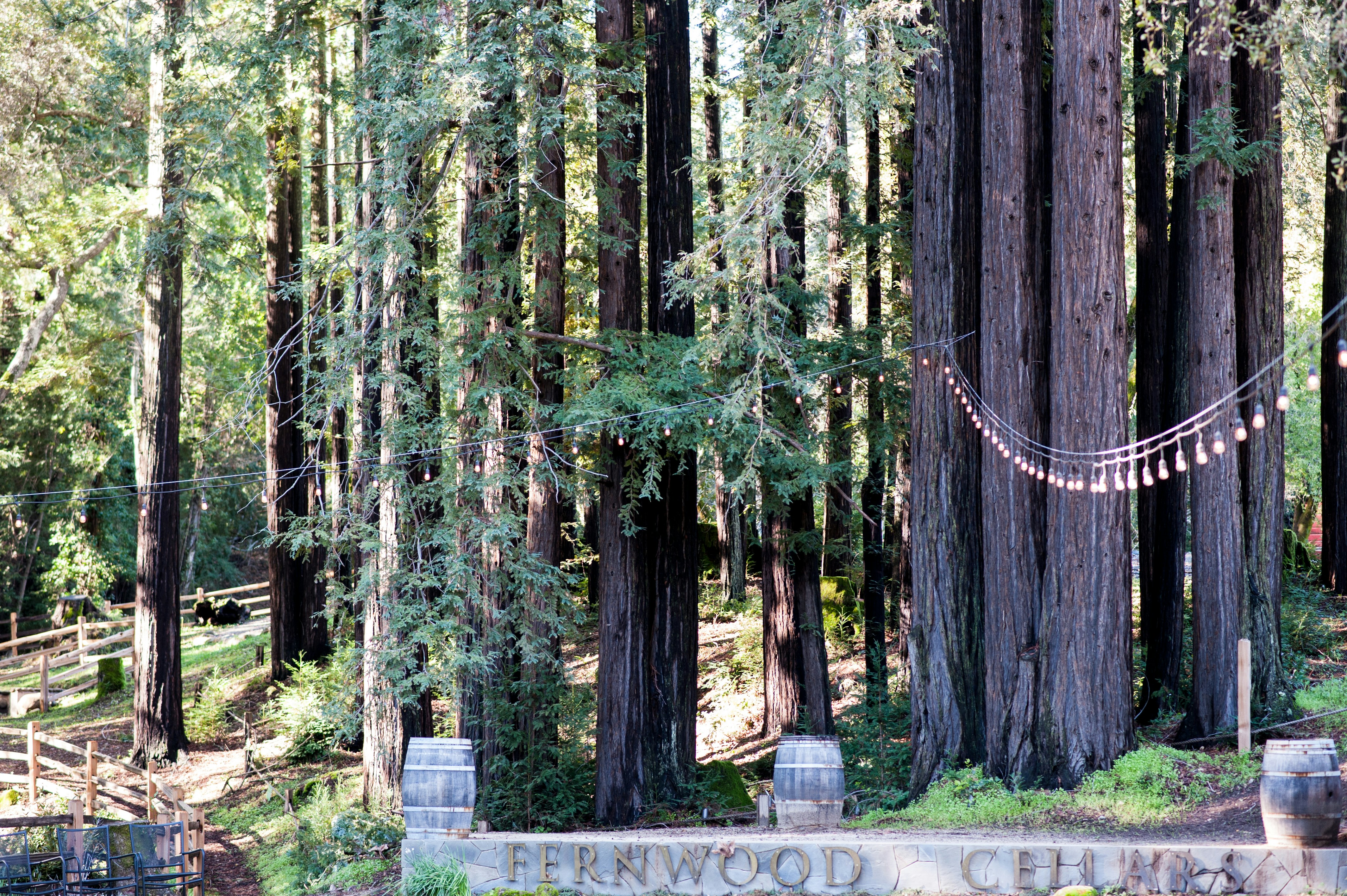 Wedding Venue Planning