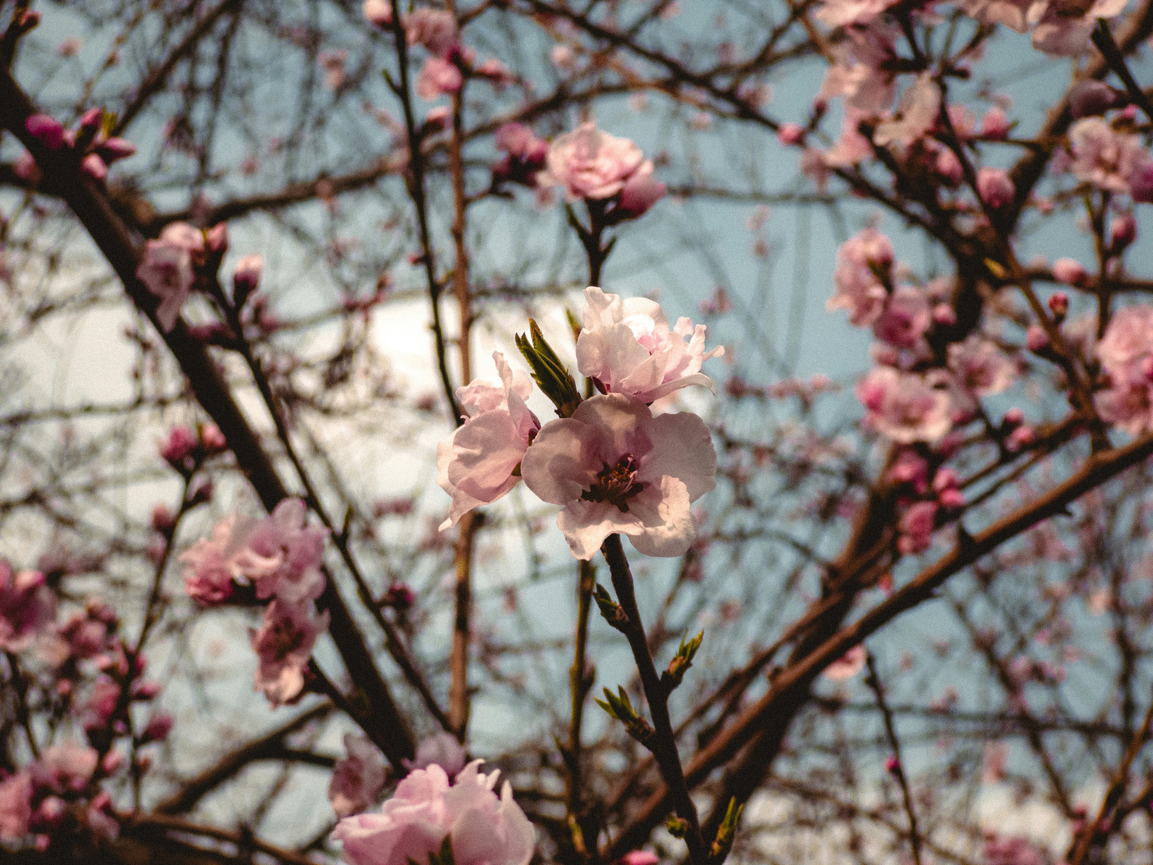 Photo by aayush_khokhar