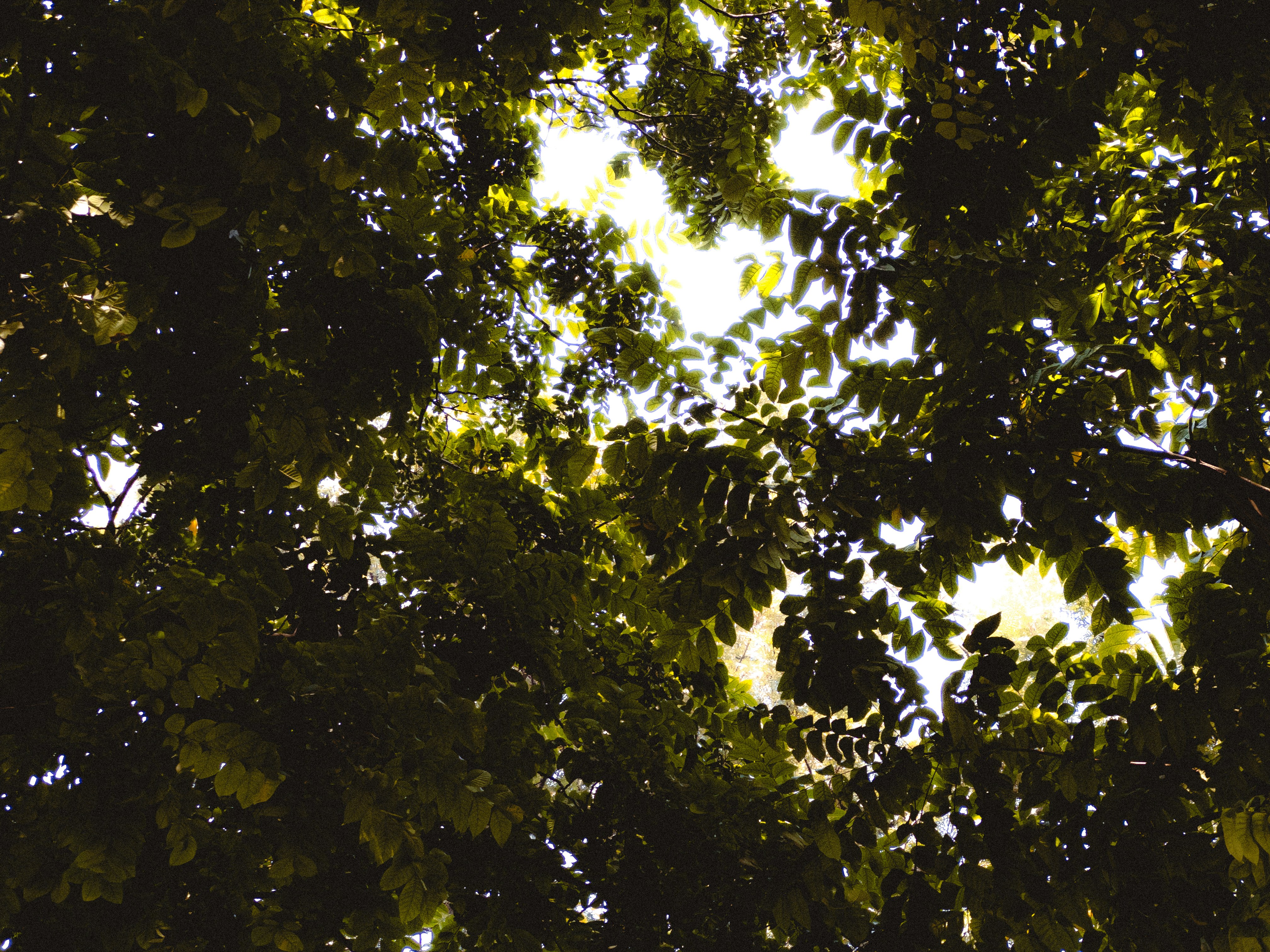 Photo by aayush_khokhar