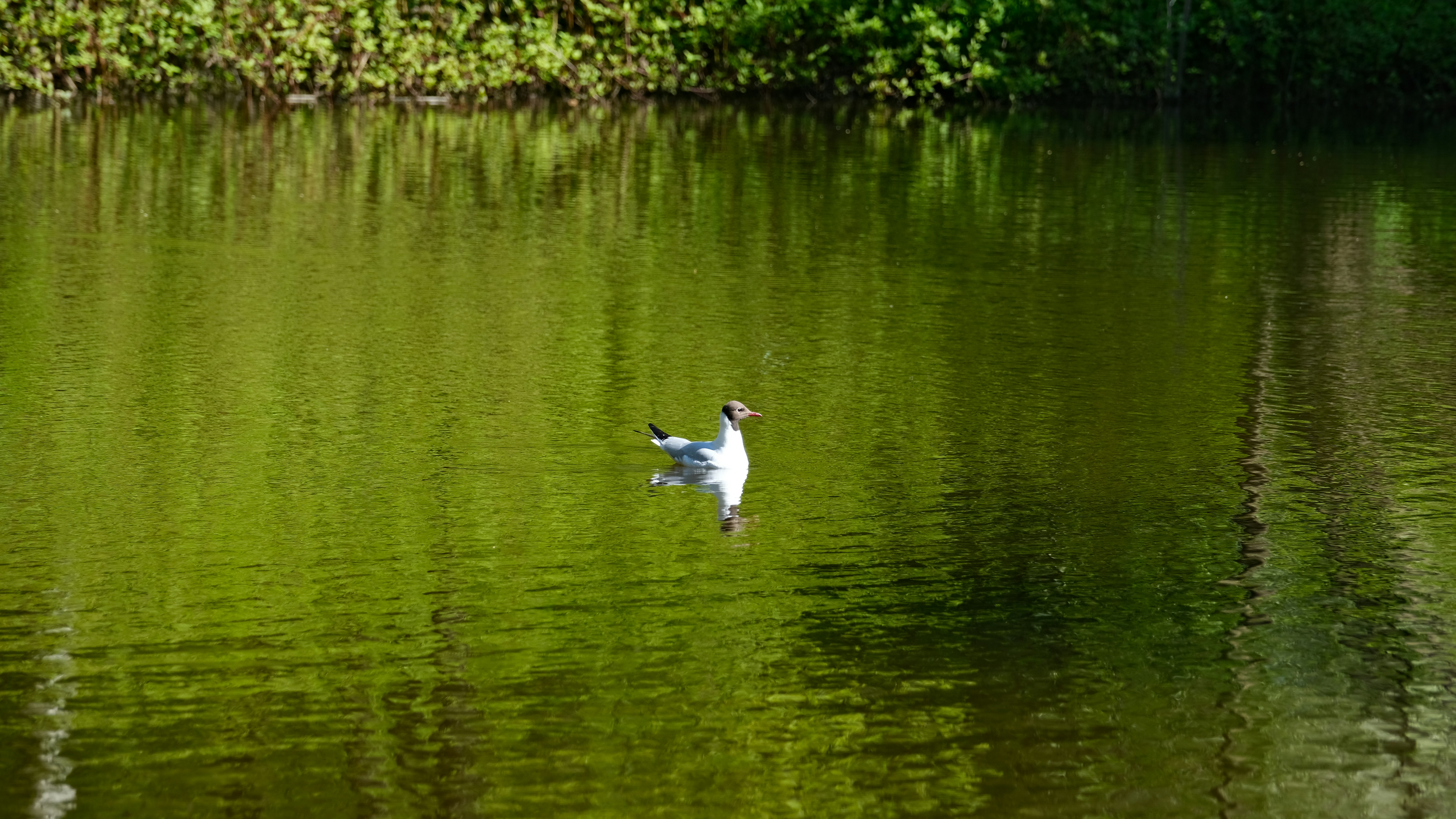 Photo by lockhartkeys