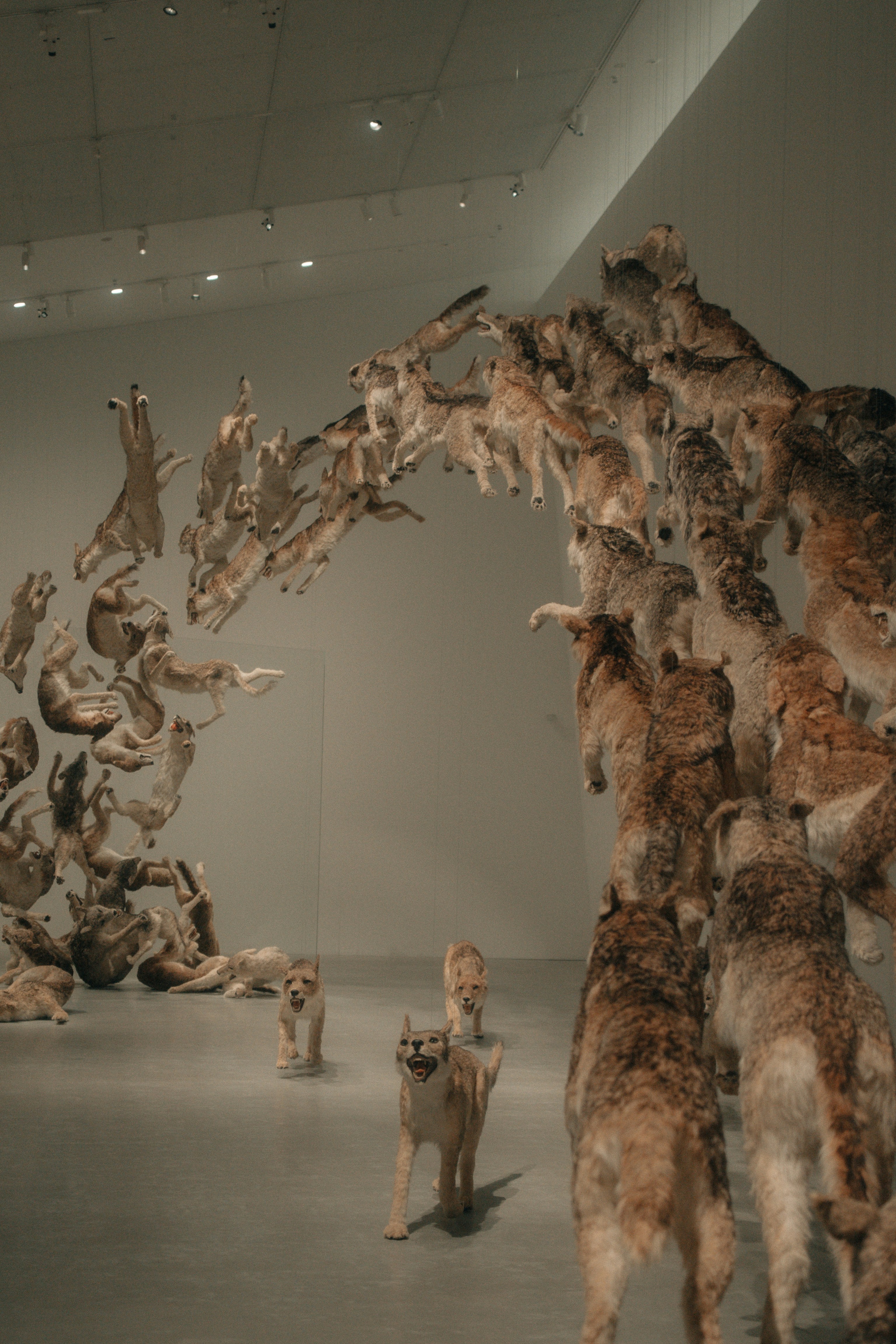 A large sculpture of many wolves in a museum