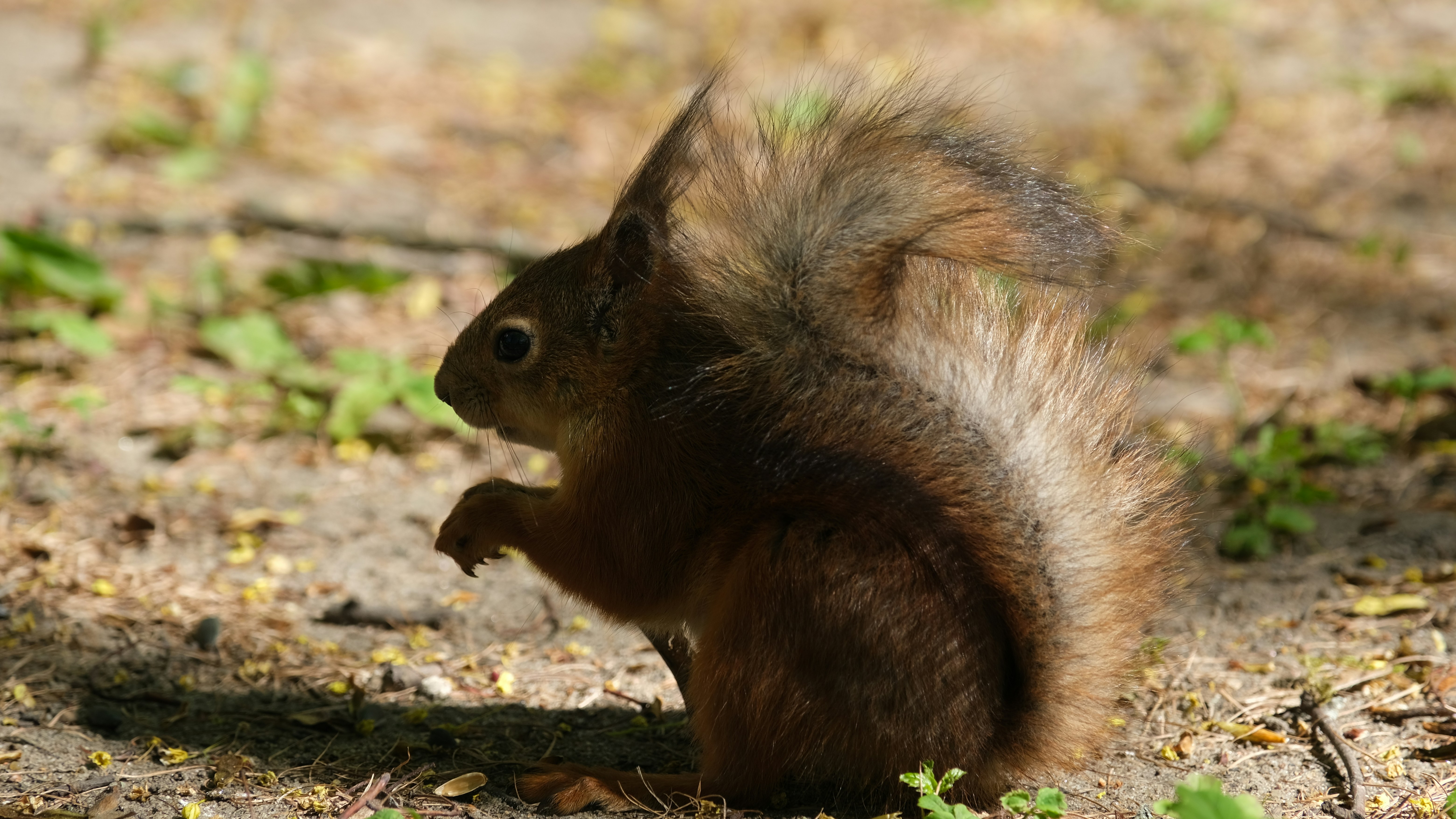 Photo by lockhartkeys