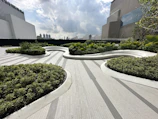 Modern rooftop garden with curved pathways and lush greenery