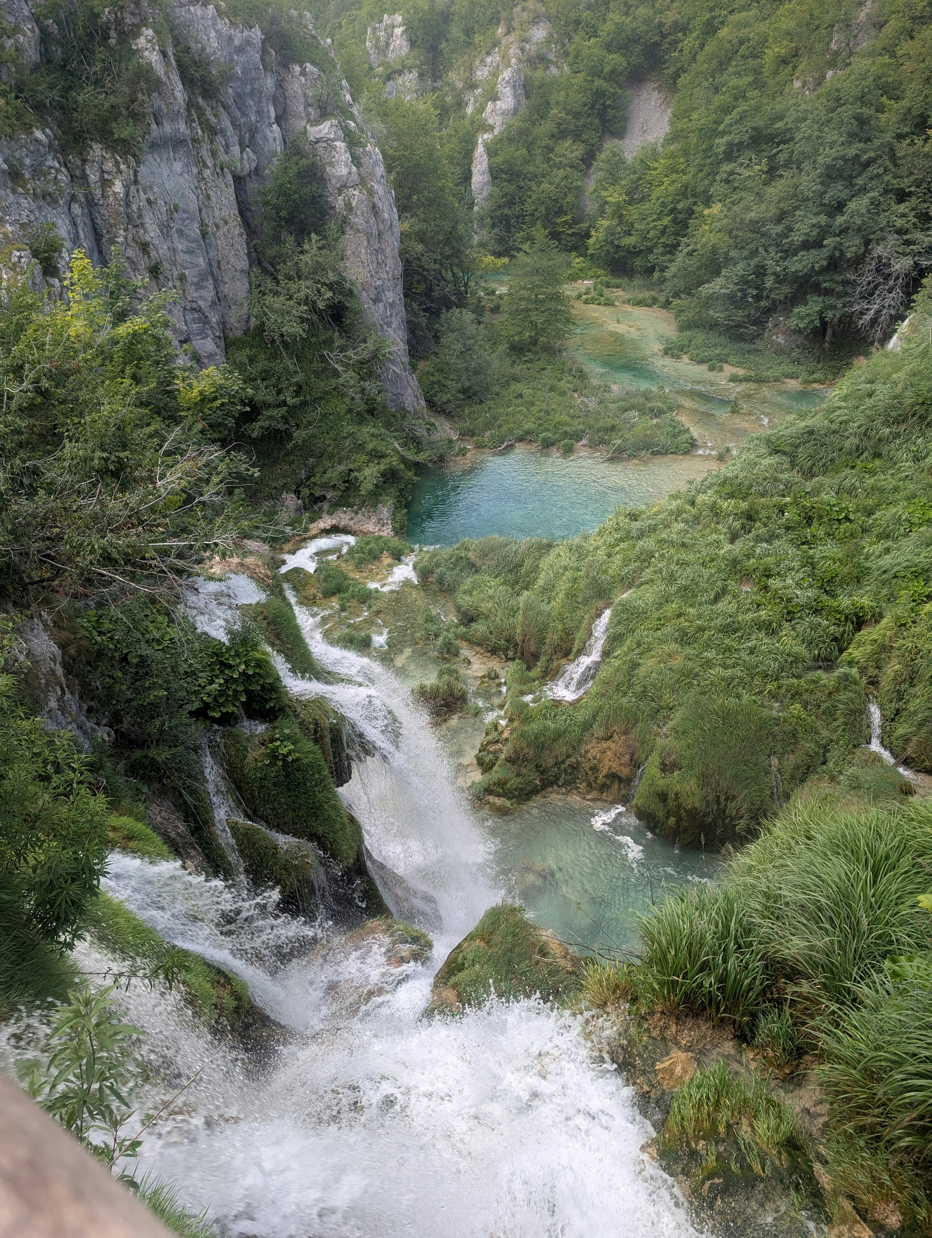 Photo by graysonsmith