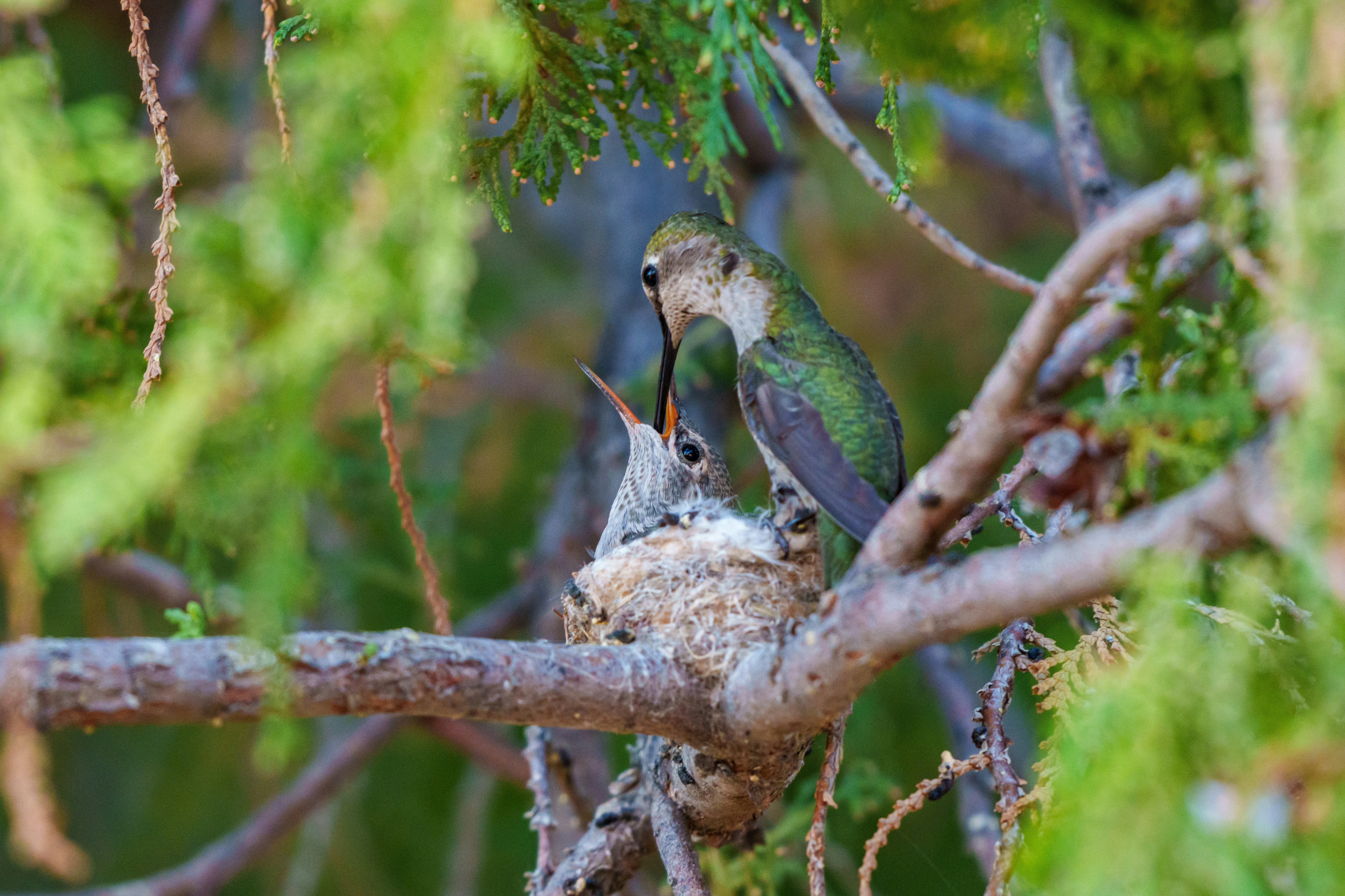 Photo by sizzle_king