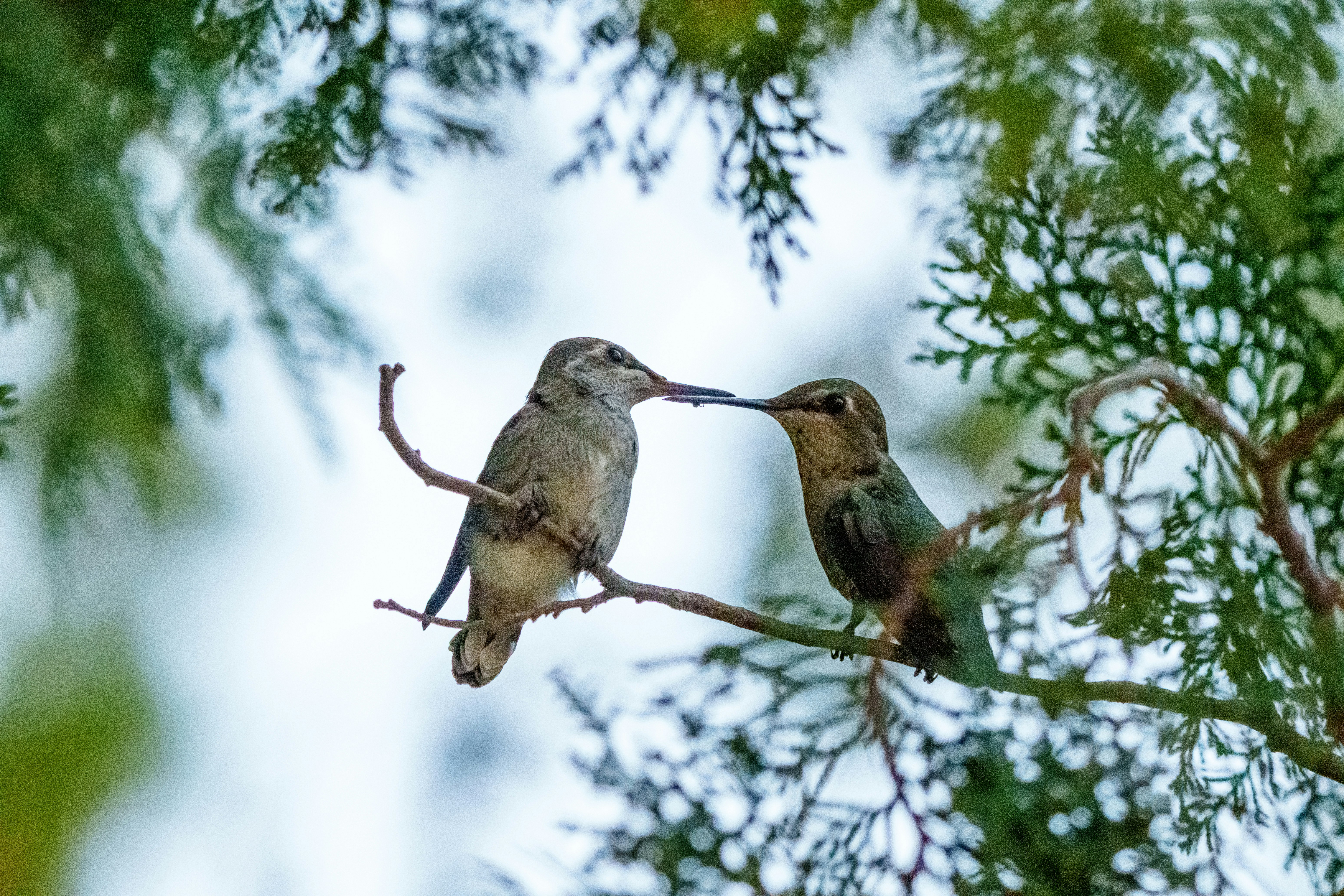 Photo by sizzle_king