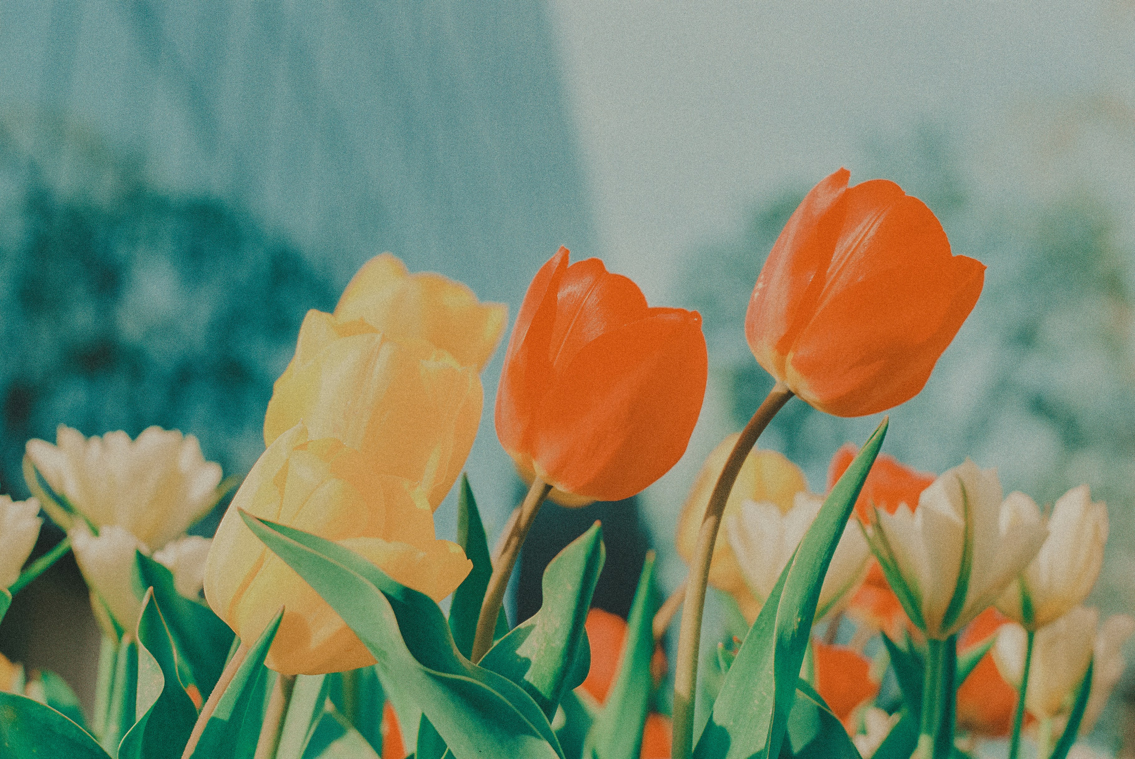 Photo by alexandragold