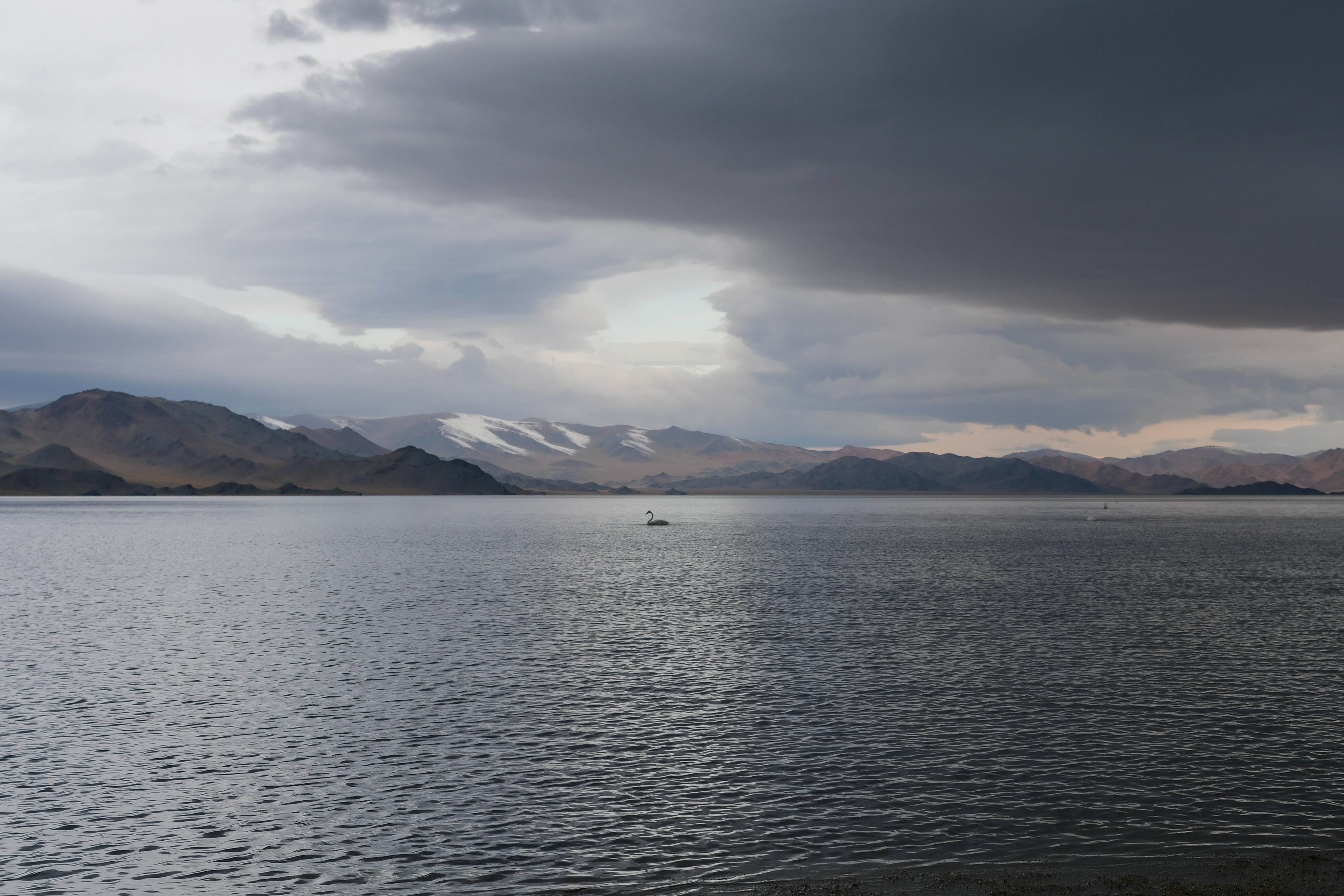 Photo by ulzii_bayar