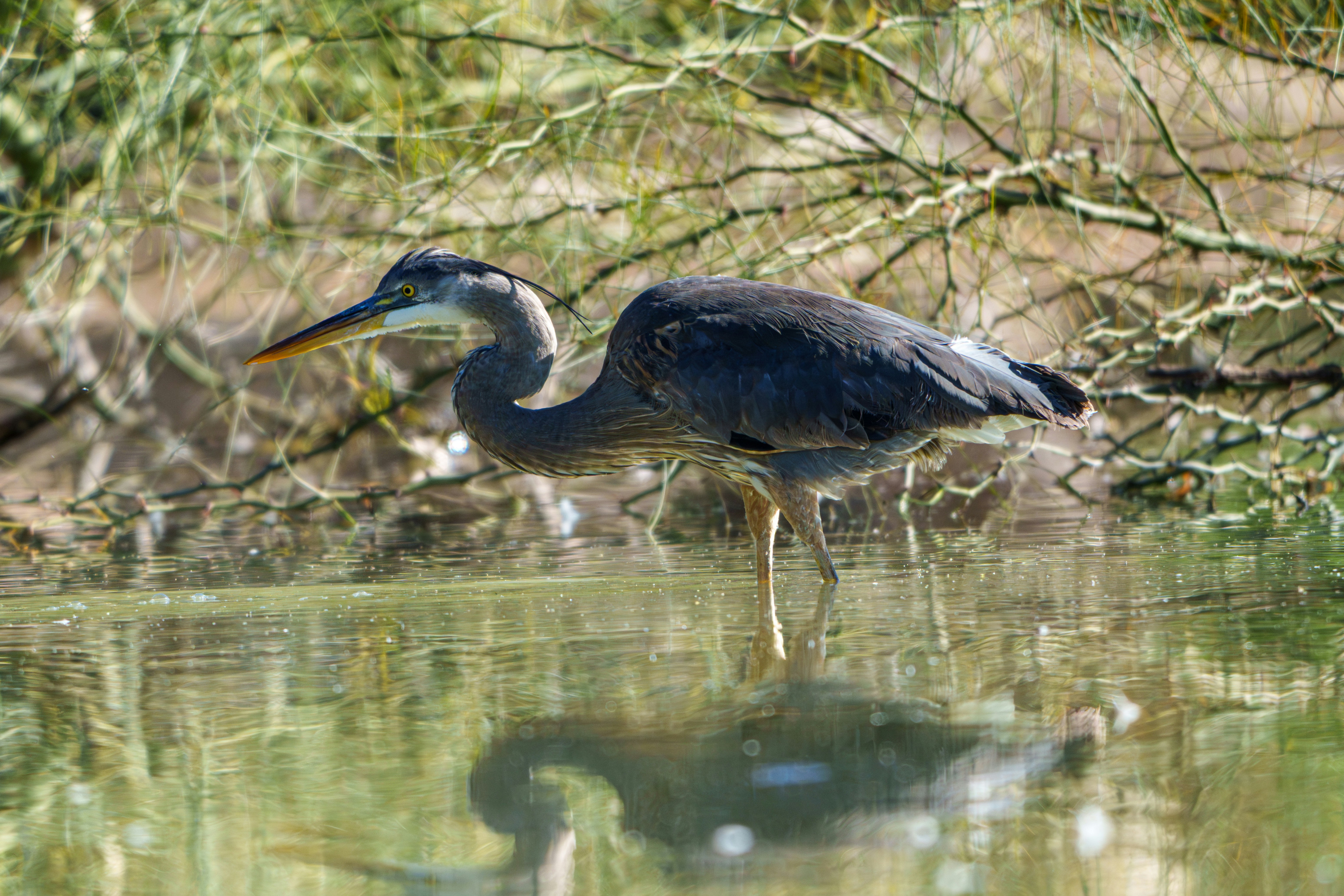 Photo by sizzle_king