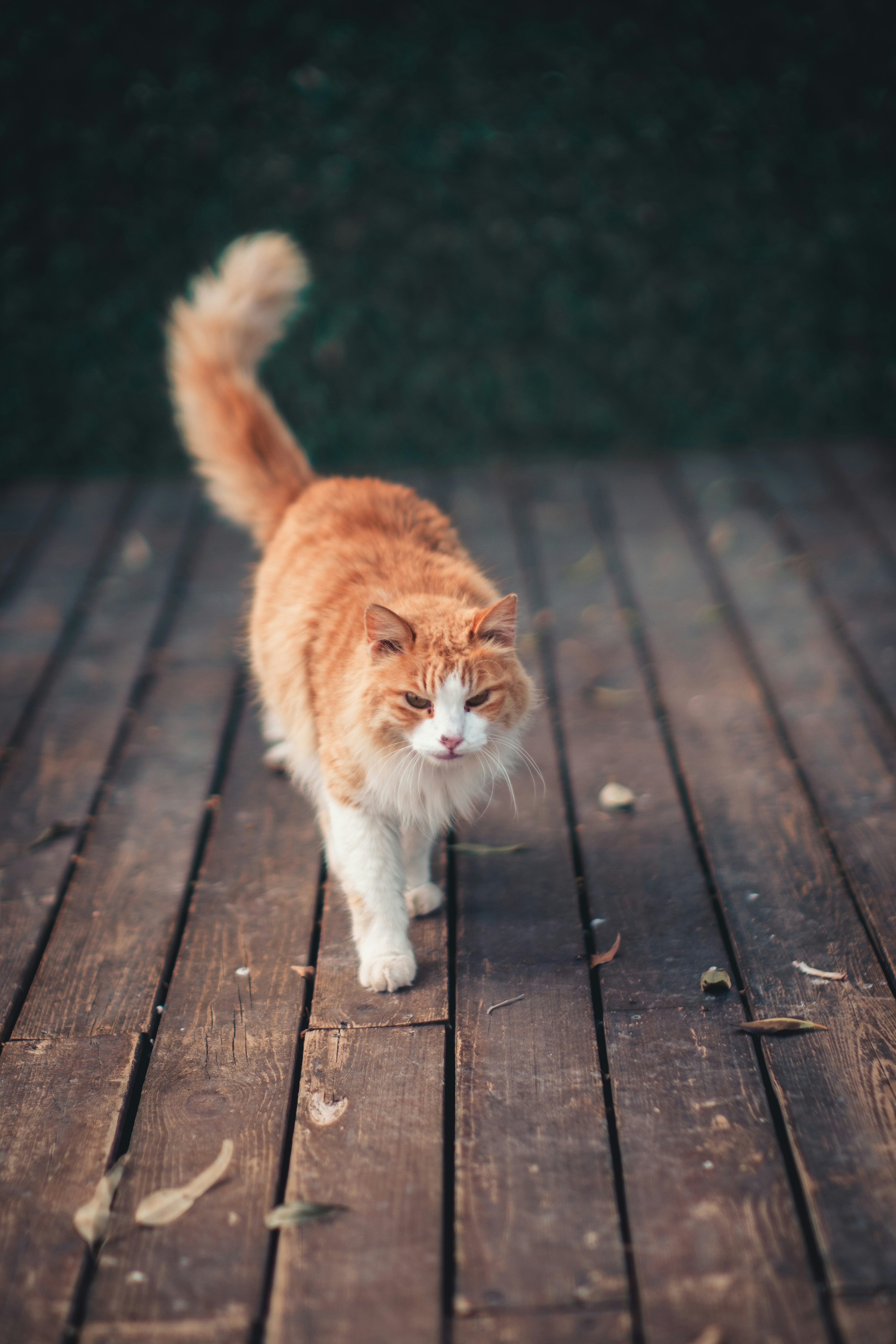 Photo by oldsoulframes