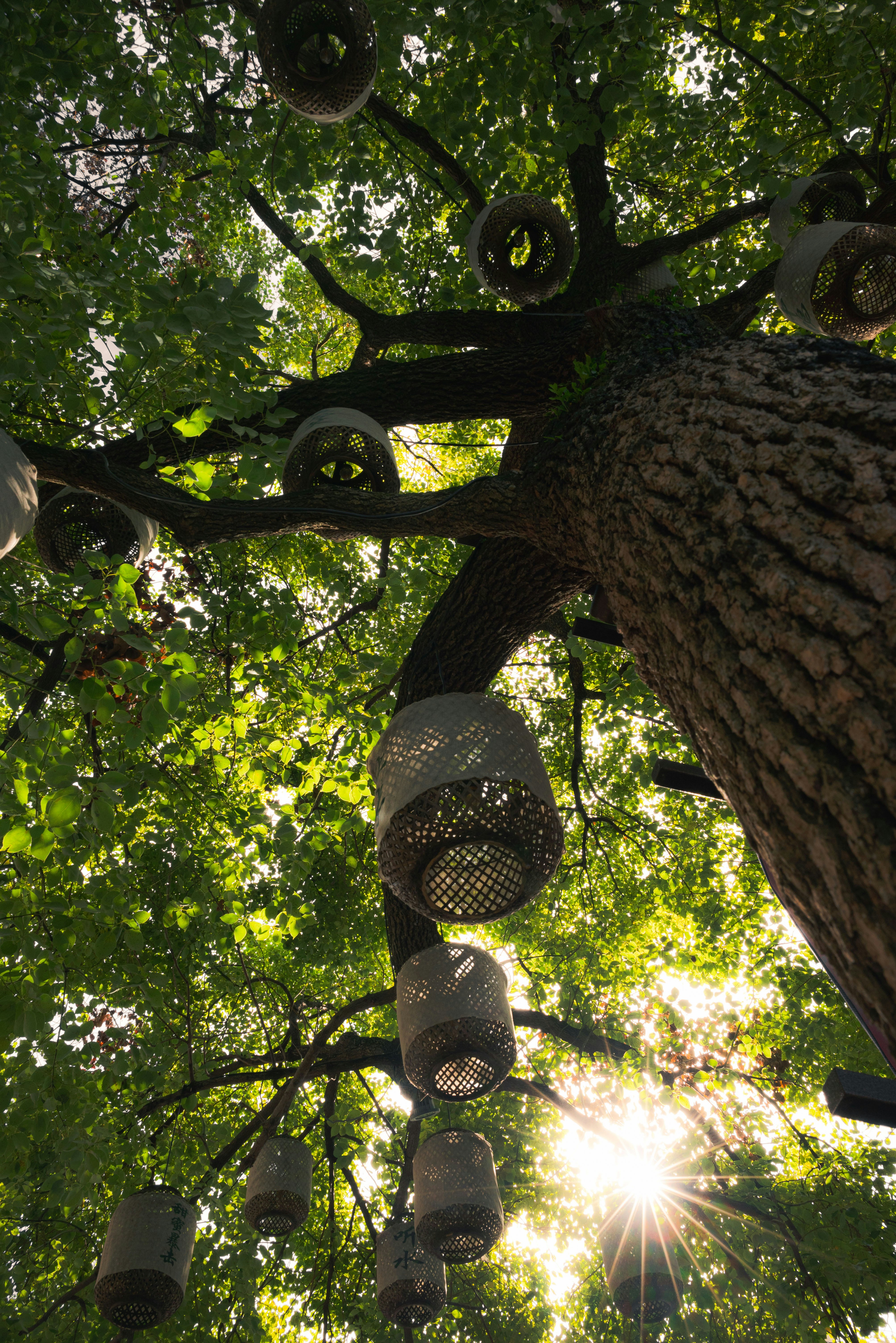 Garden & outdoor décor sourcing — Asia Sourcing