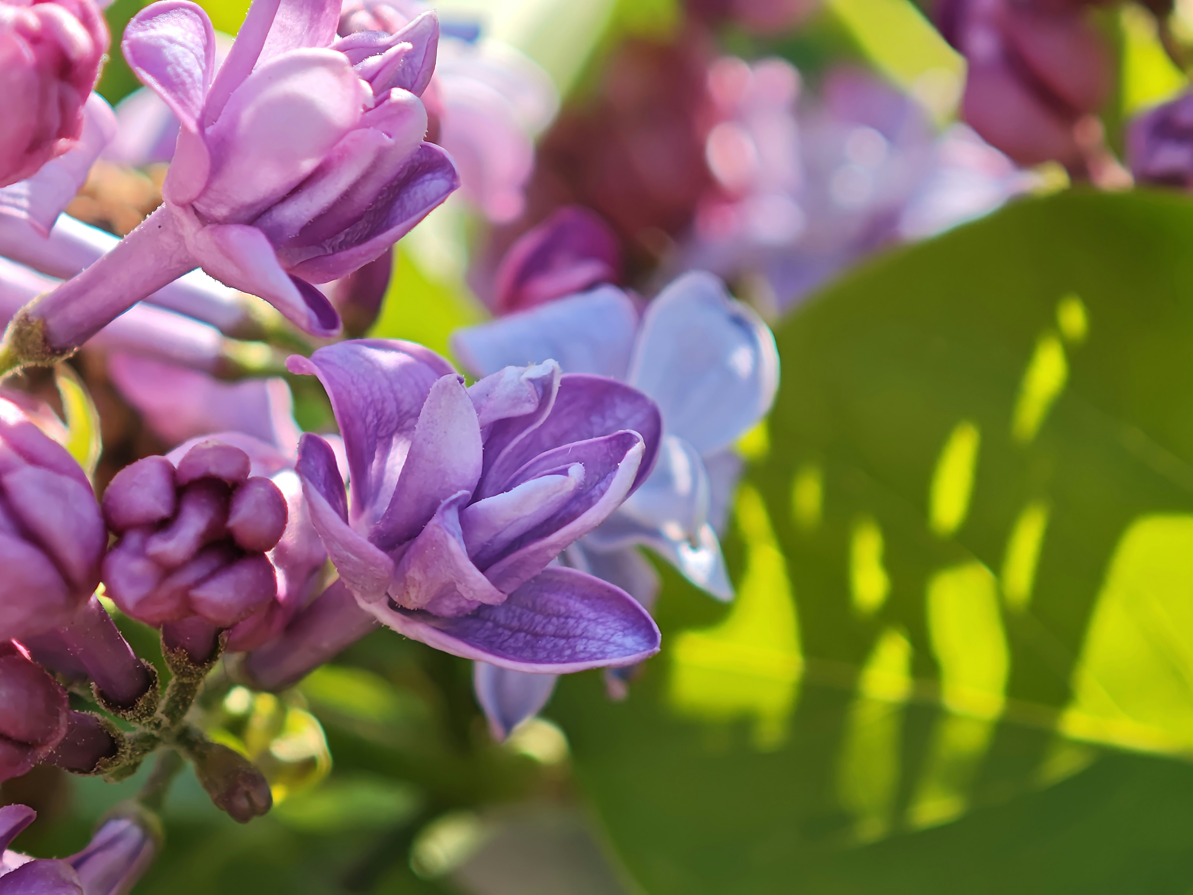 Photo by eusebiu_soica