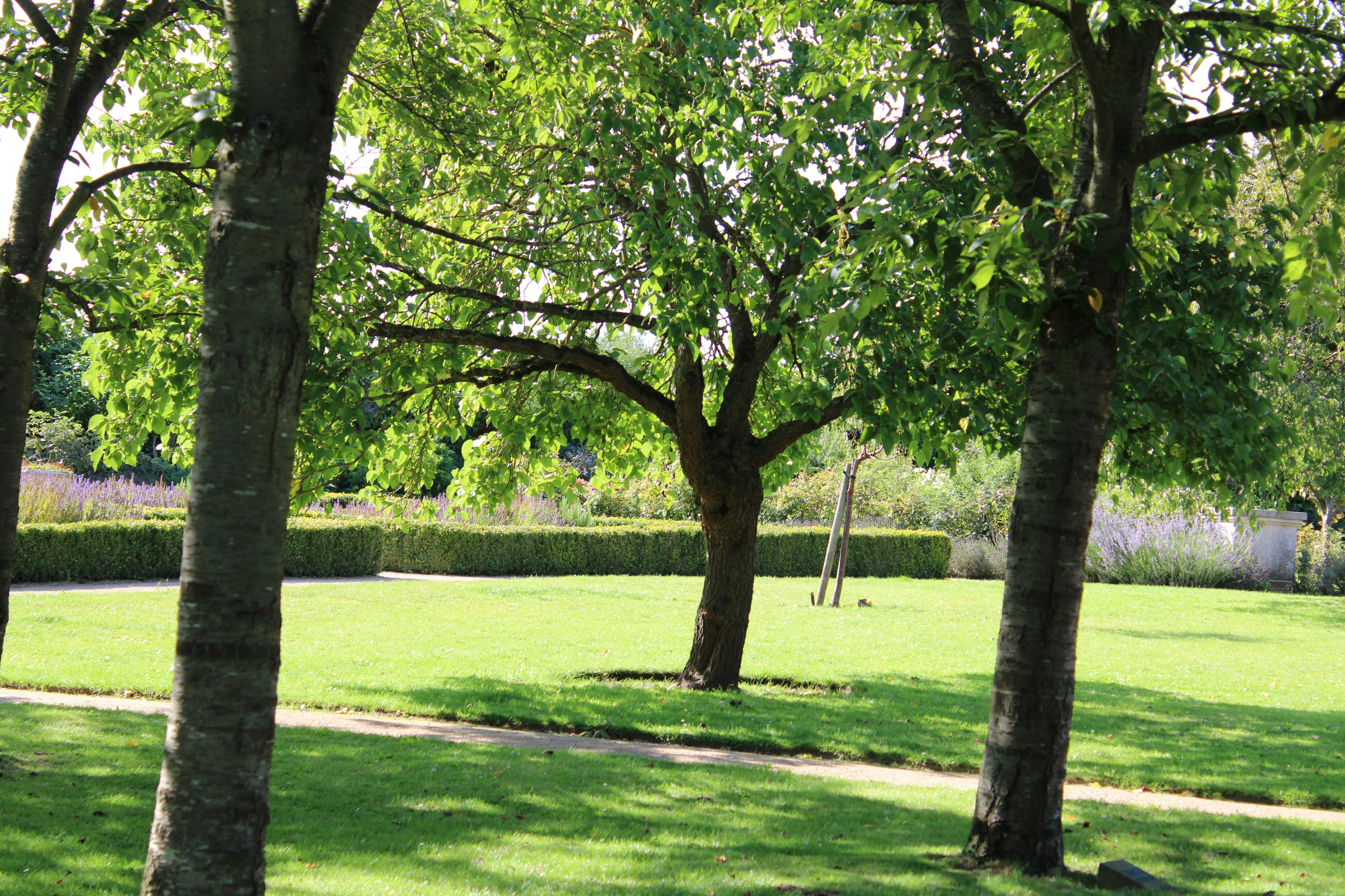 Photo by fastmarkers