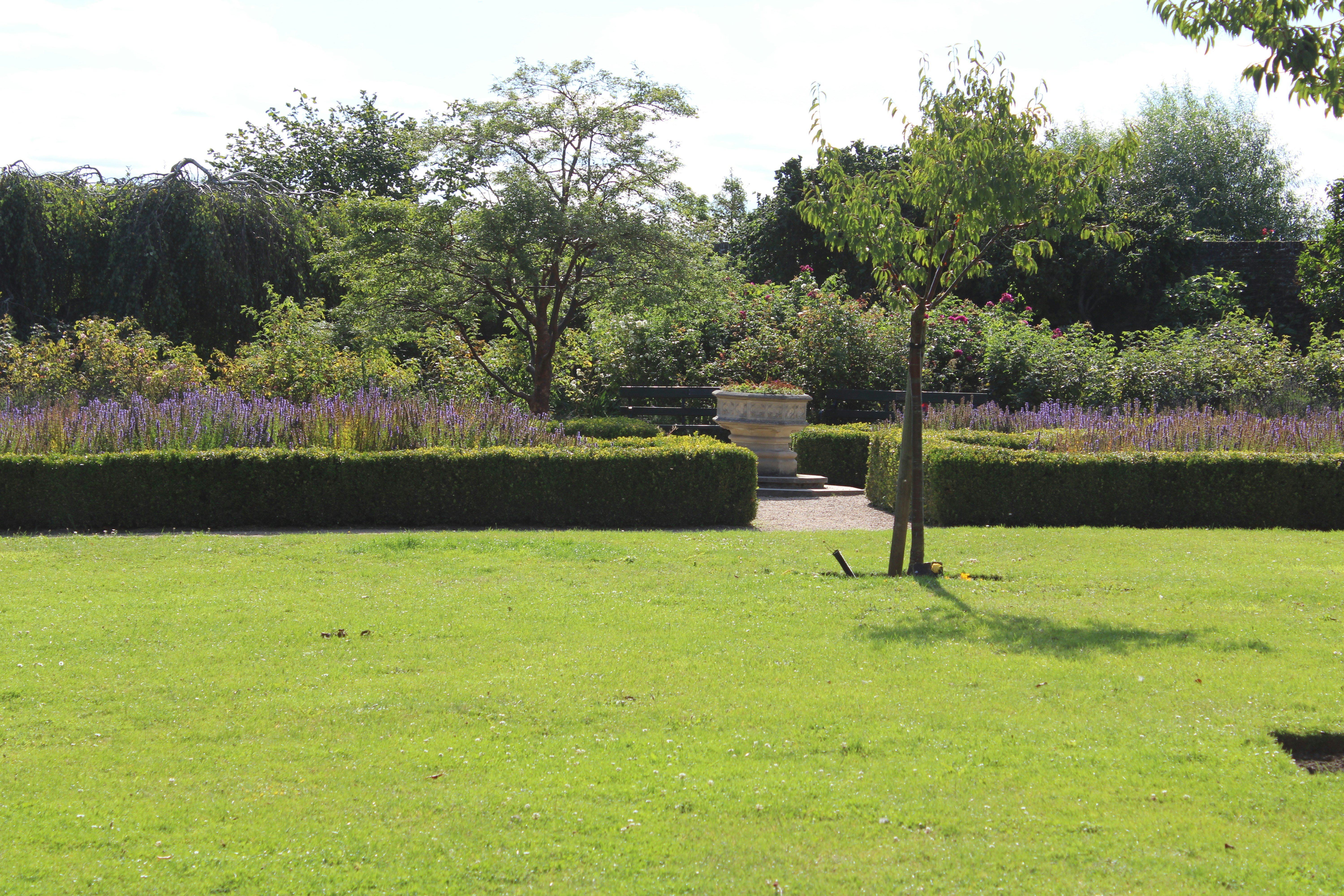 Photo by fastmarkers