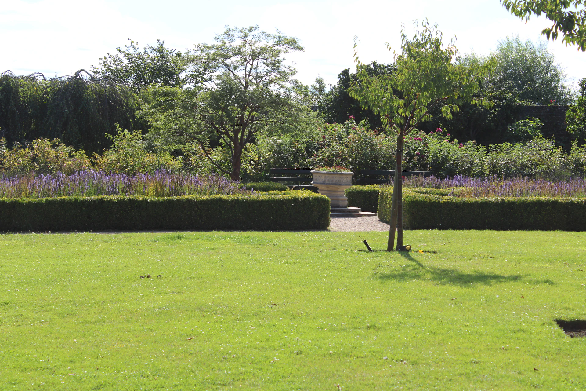 A well-maintained garden with manicured hedges and flowers.