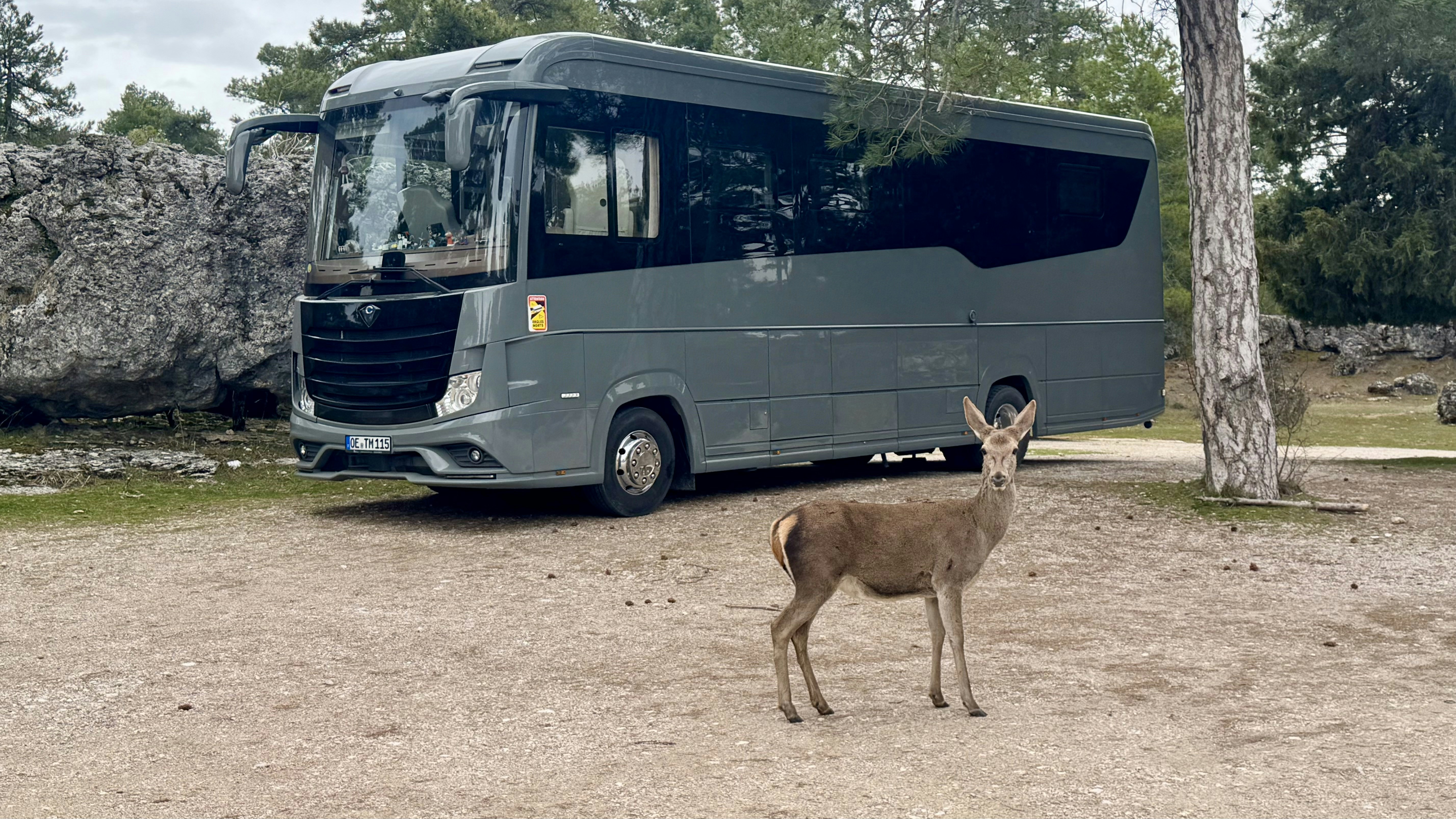 RV Clear Coat Restoration