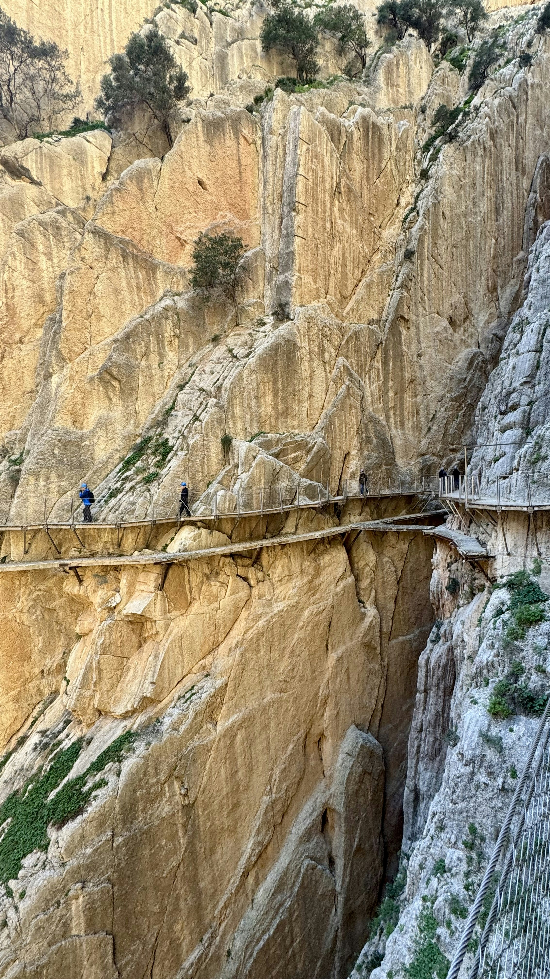 Photo by hit_the_road