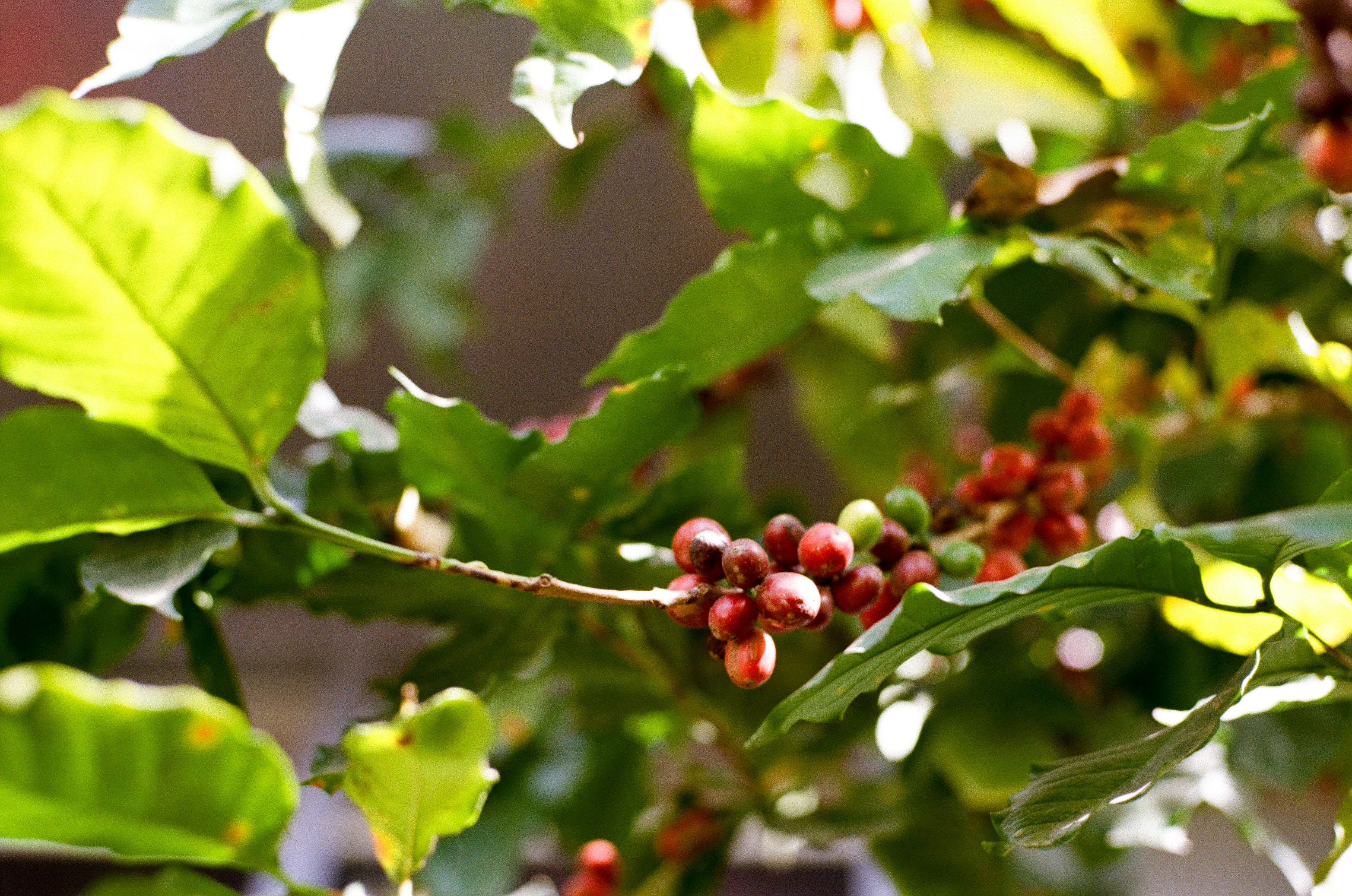 Photo by donguyenkhanhs