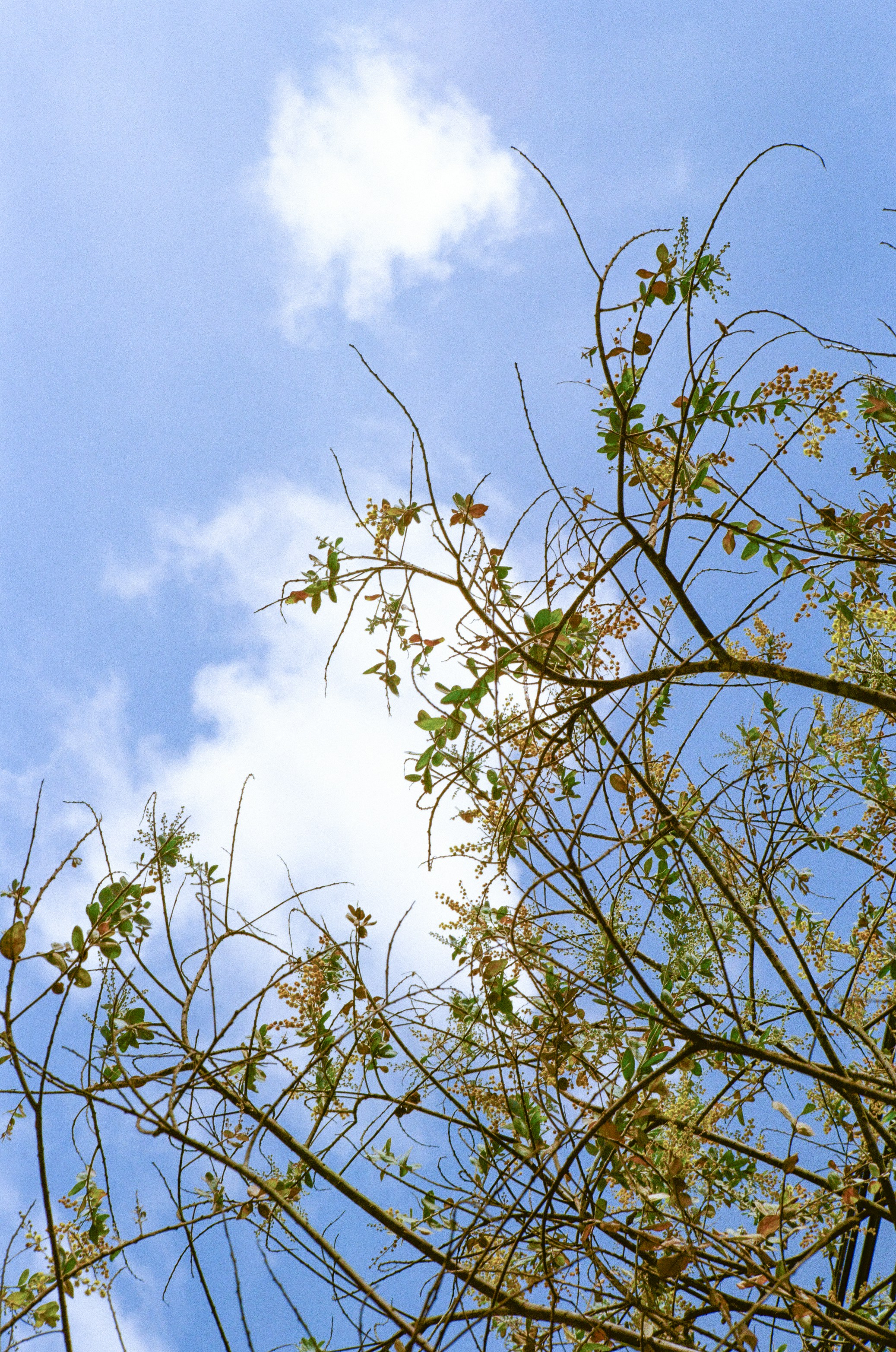 Photo by donguyenkhanhs