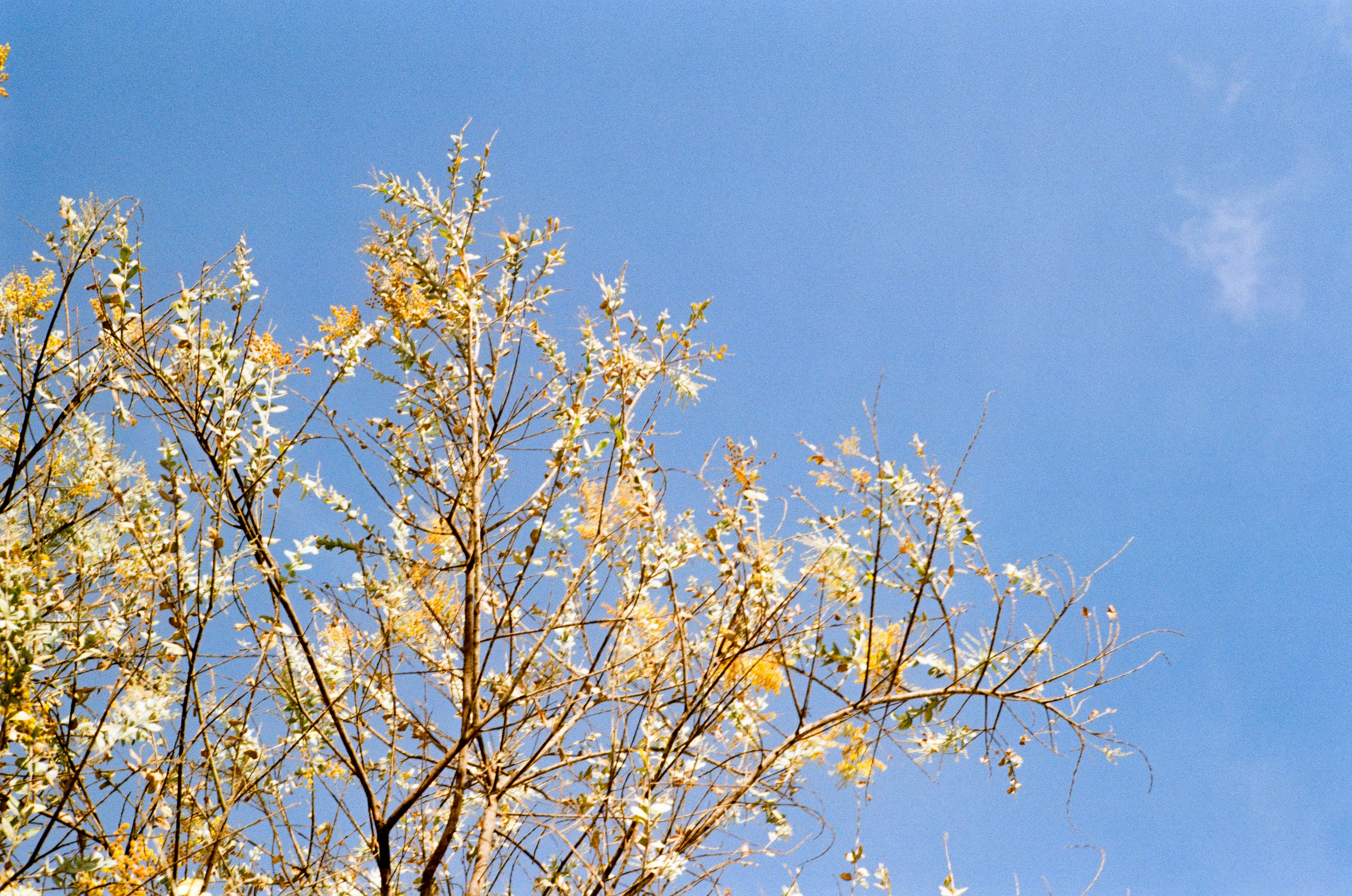 Photo by donguyenkhanhs