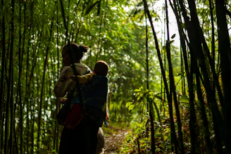 Woman carrying a baby through a bamboo forest