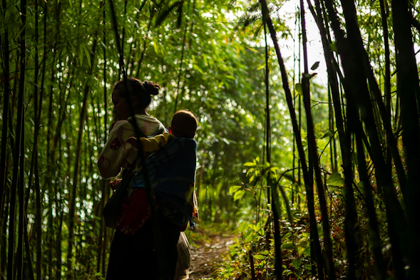 Woman carrying a baby through a bamboo forest