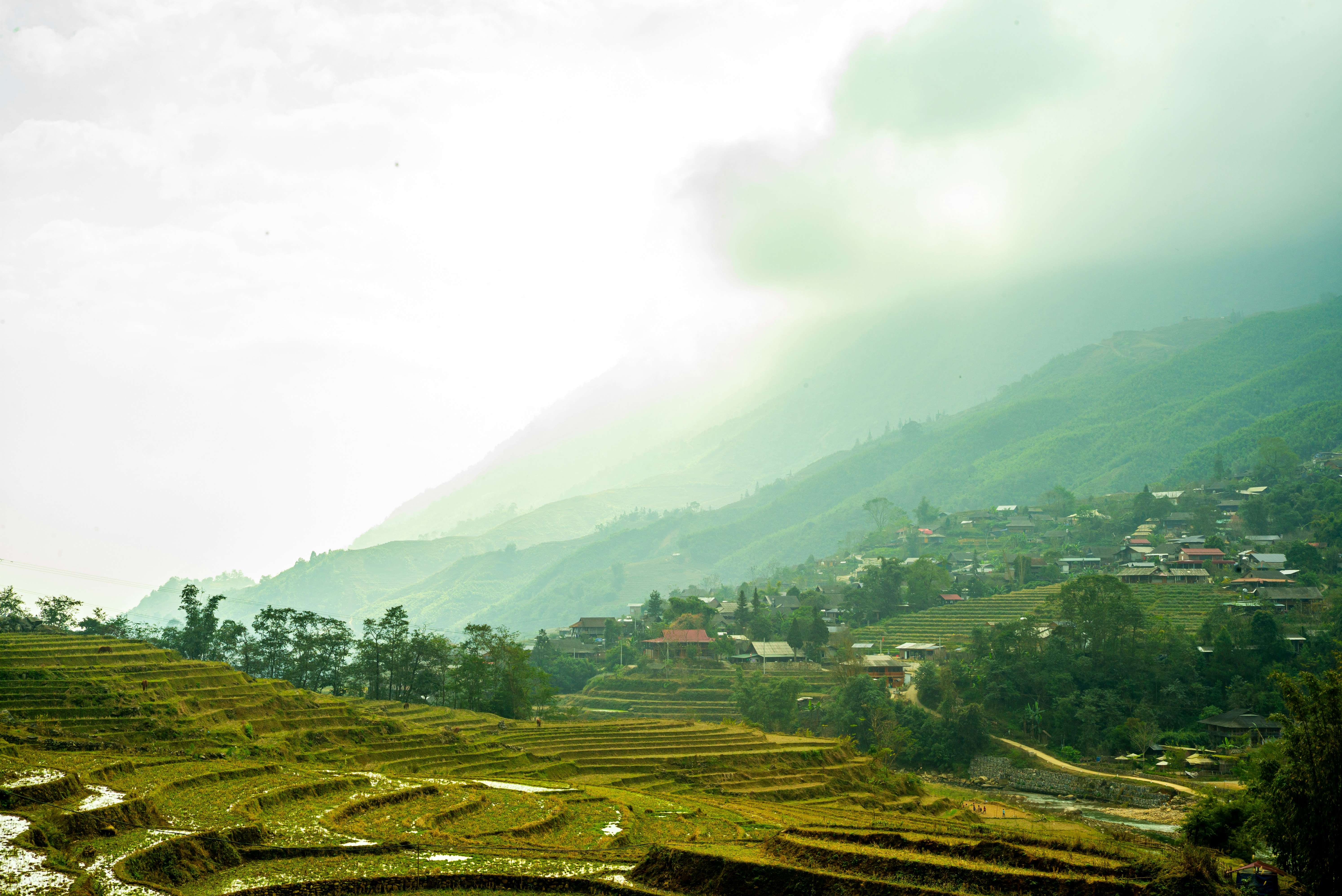 Photo by donguyenkhanhs