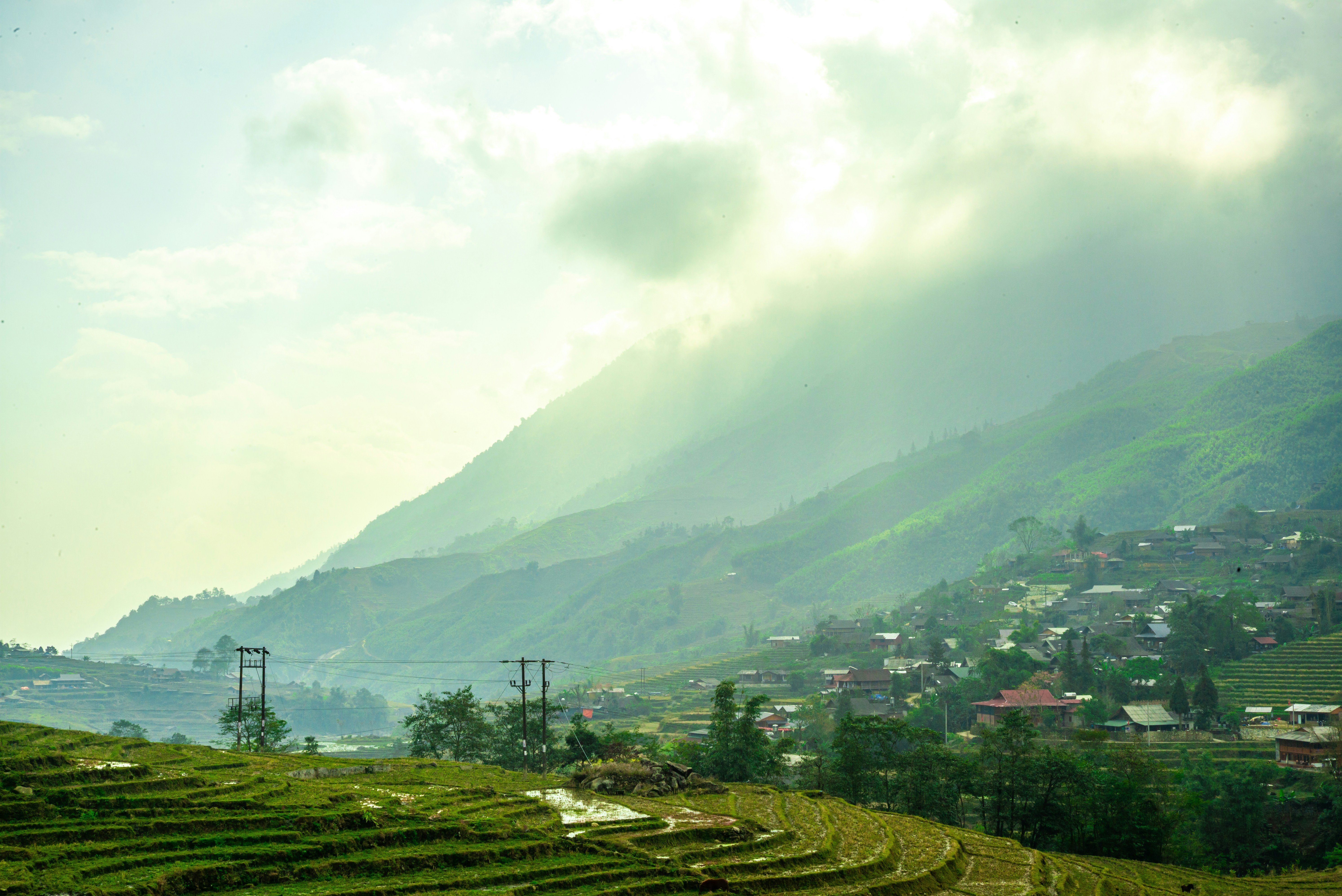 Photo by donguyenkhanhs