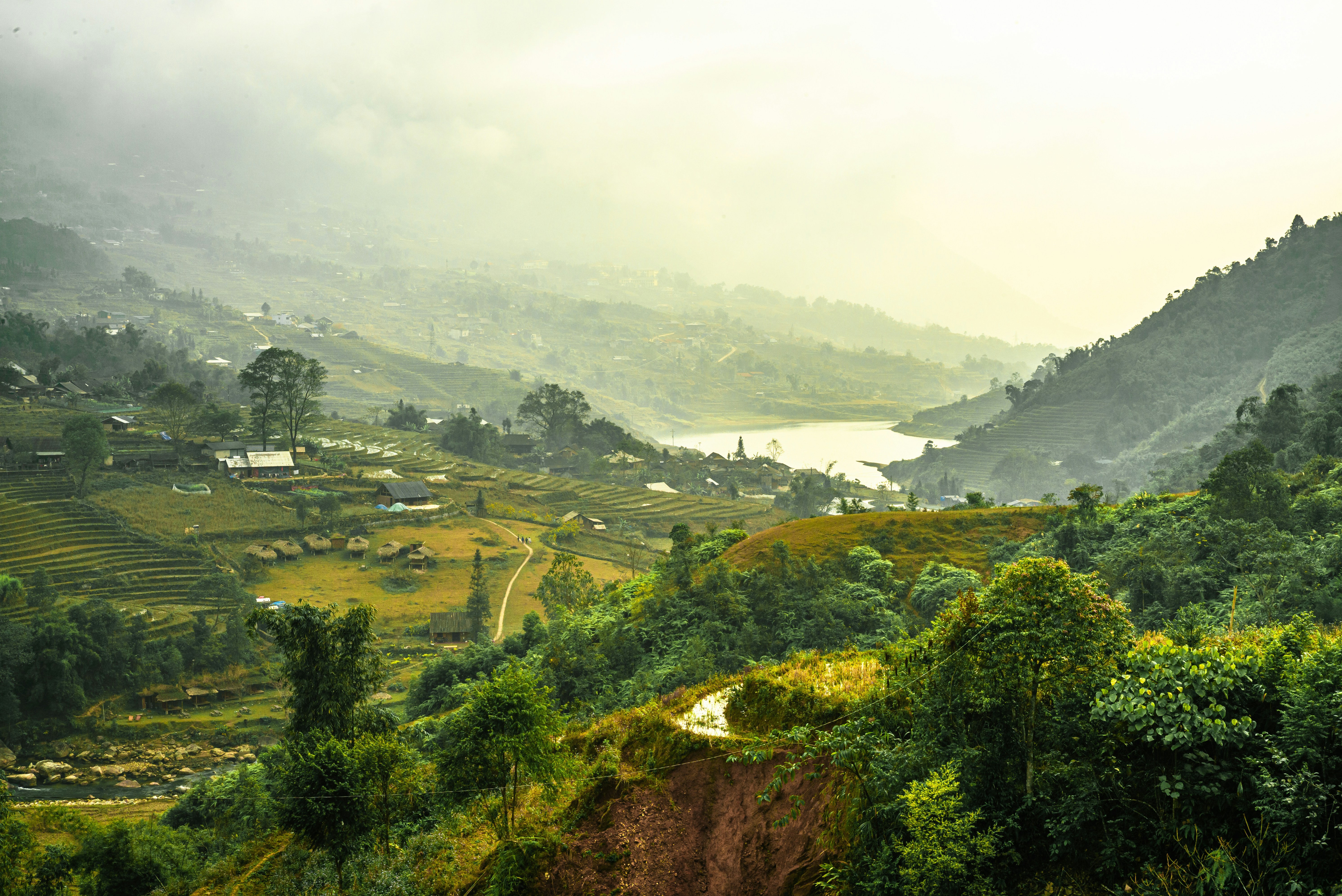 Photo by donguyenkhanhs