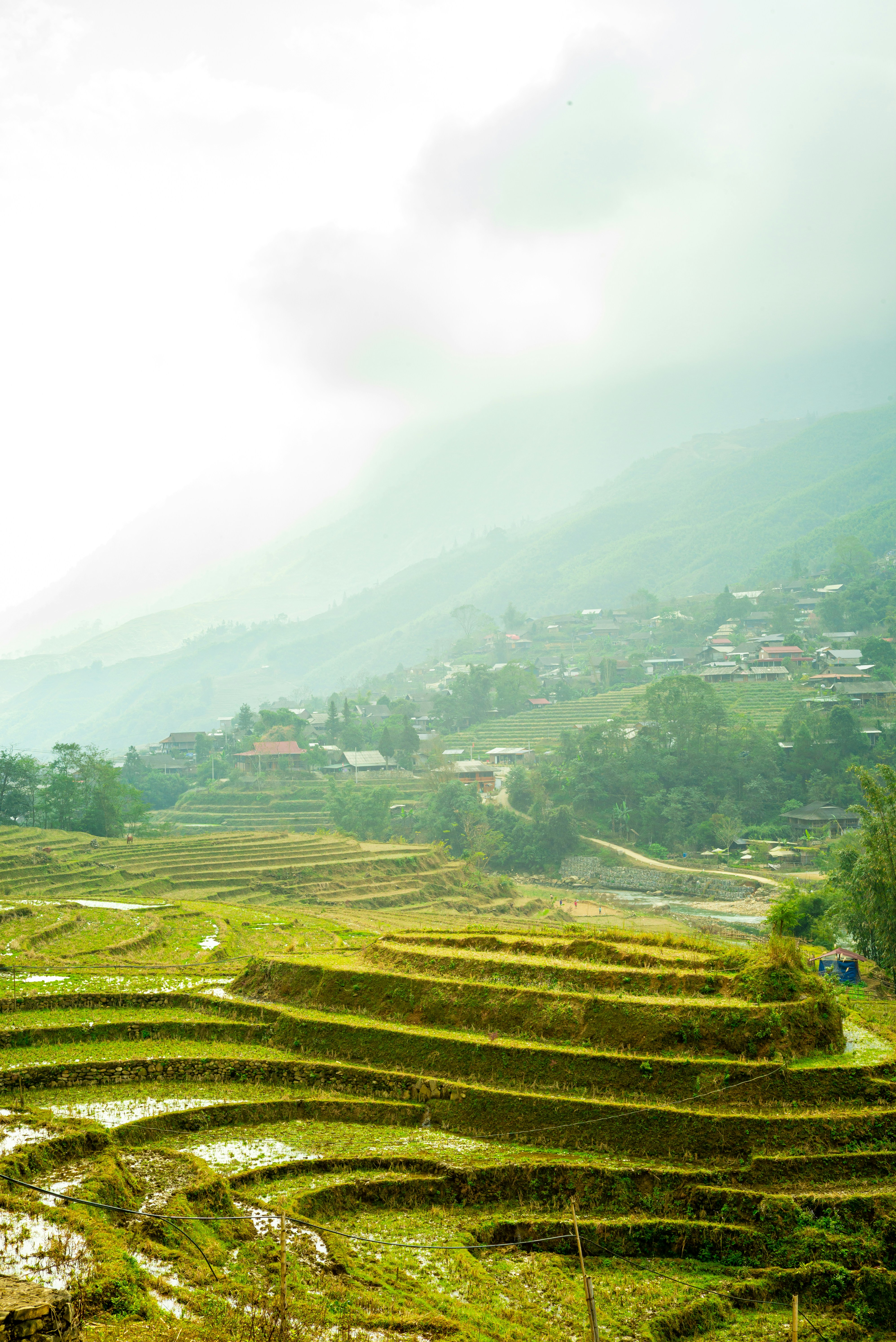 Photo by donguyenkhanhs