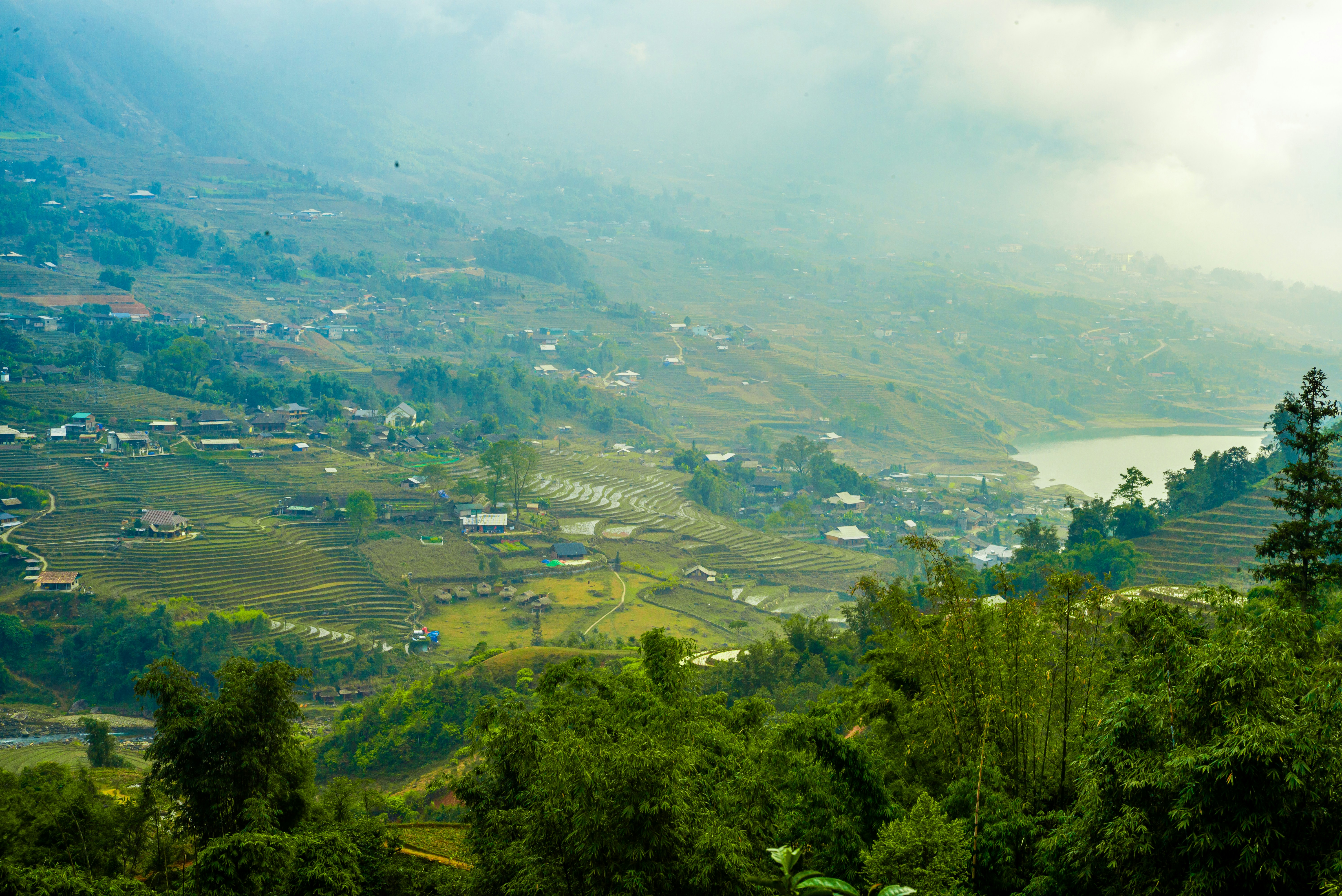 Photo by donguyenkhanhs