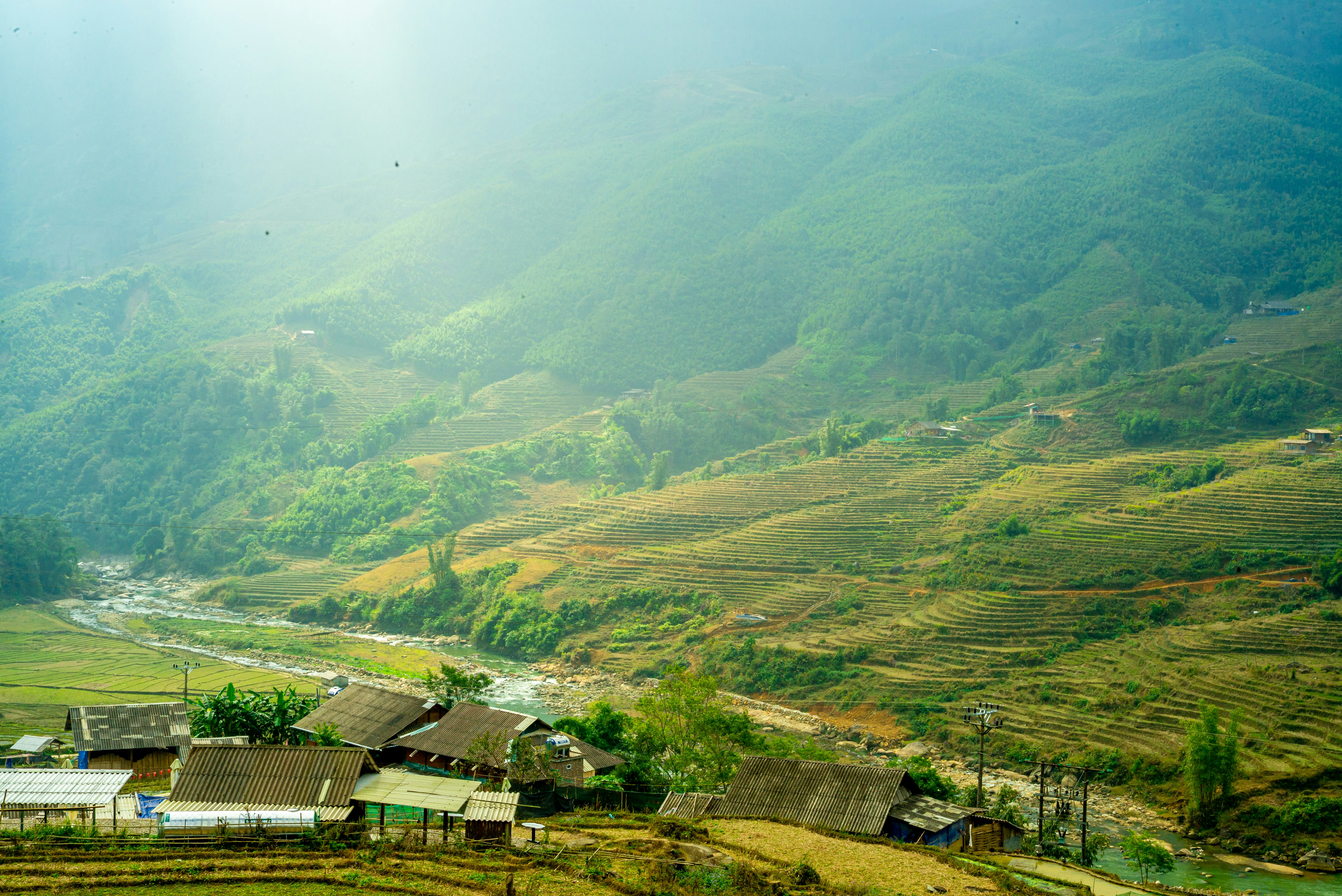 Photo by donguyenkhanhs