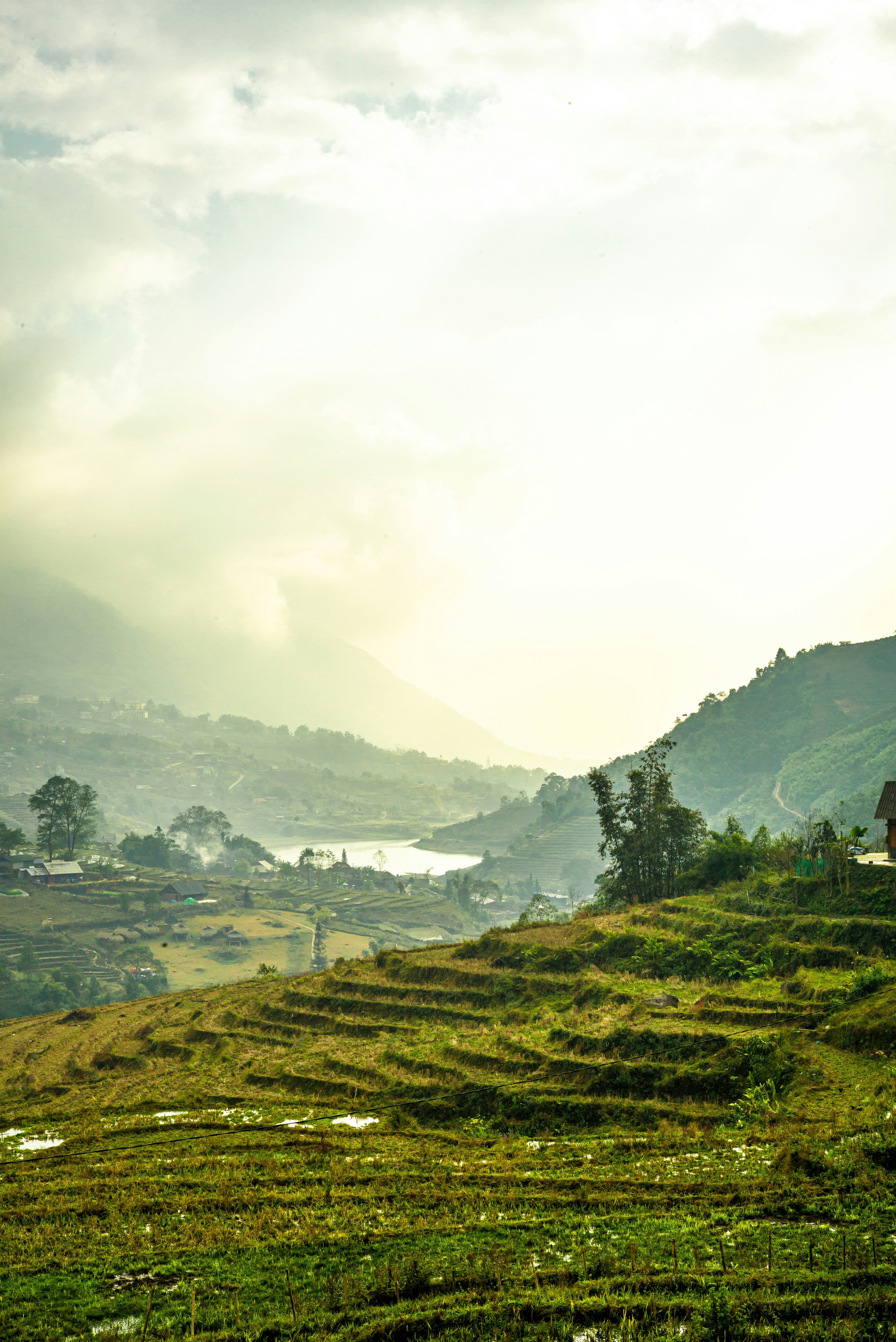 Photo by donguyenkhanhs