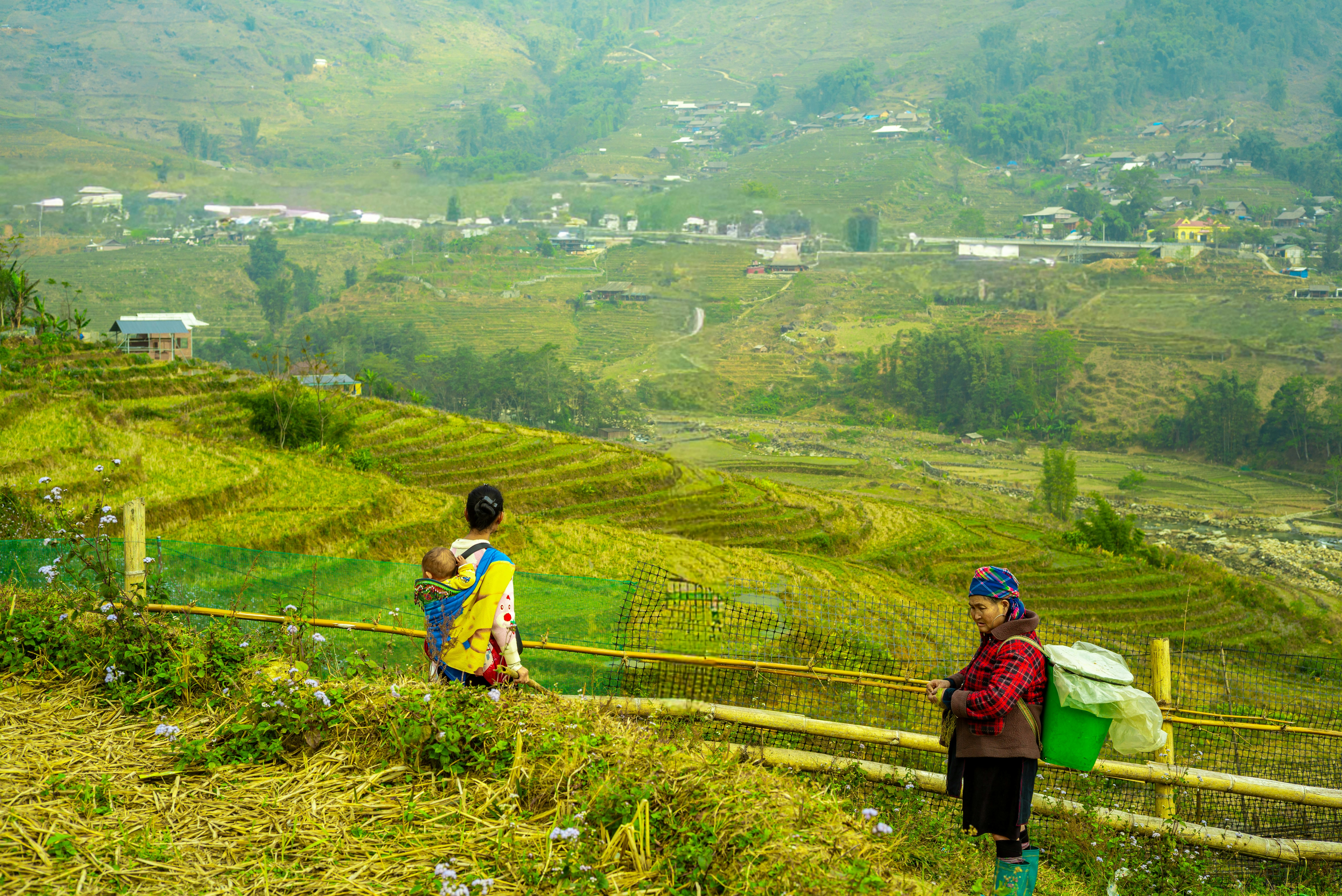 Photo by donguyenkhanhs